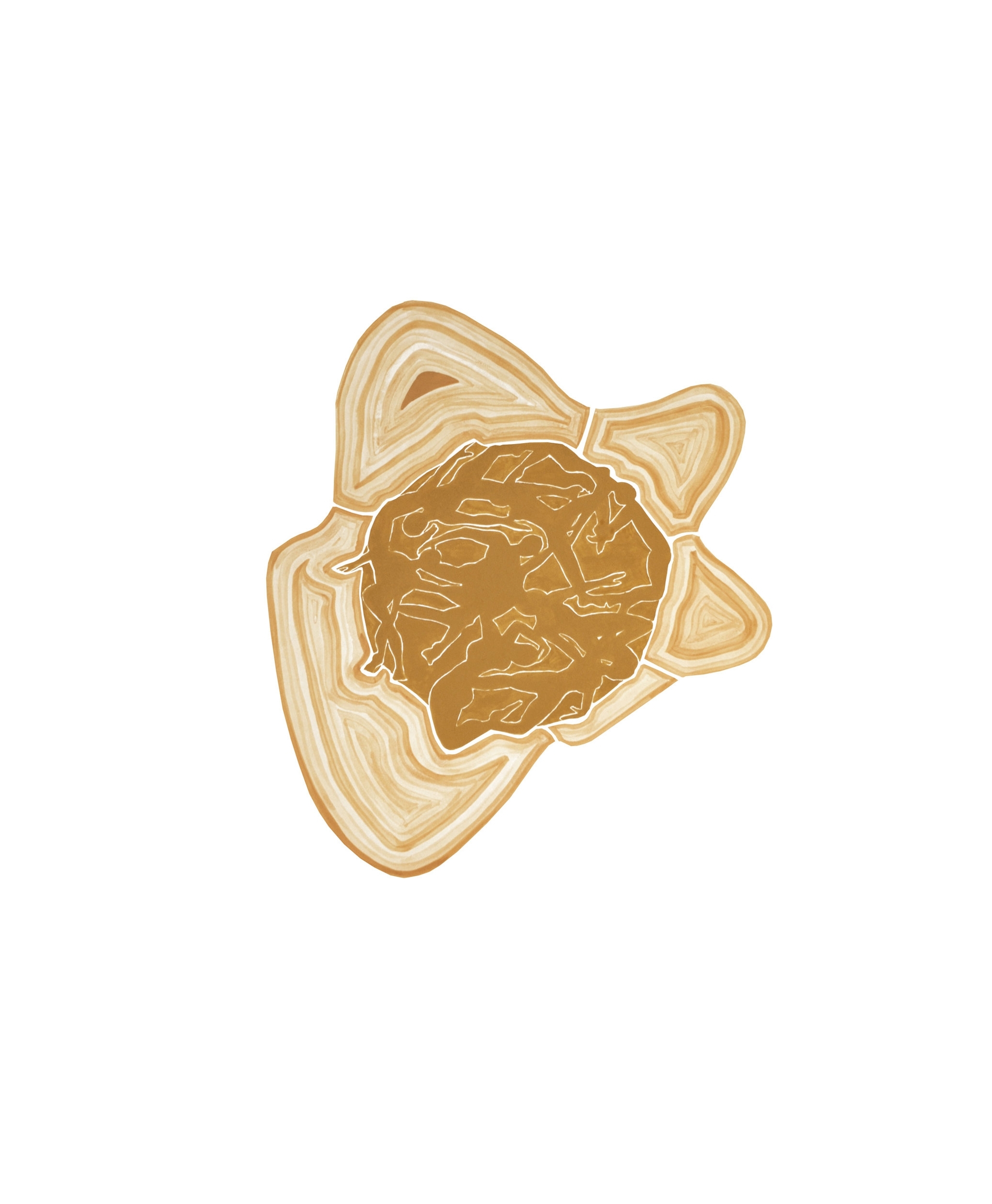 Supernova Stage IV: Contingency Core