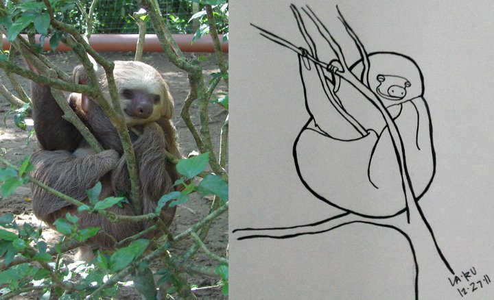 sloth1.jpg