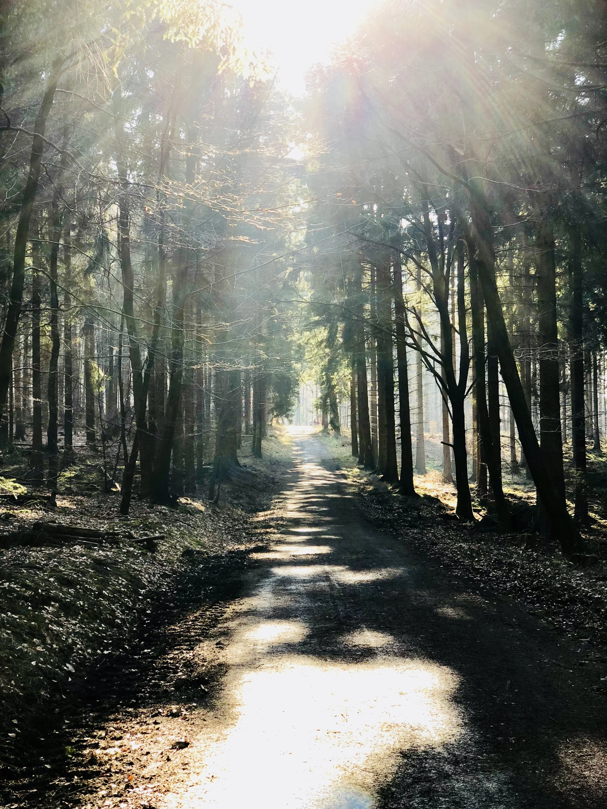 Wanderweg 1 Elspe.jpg