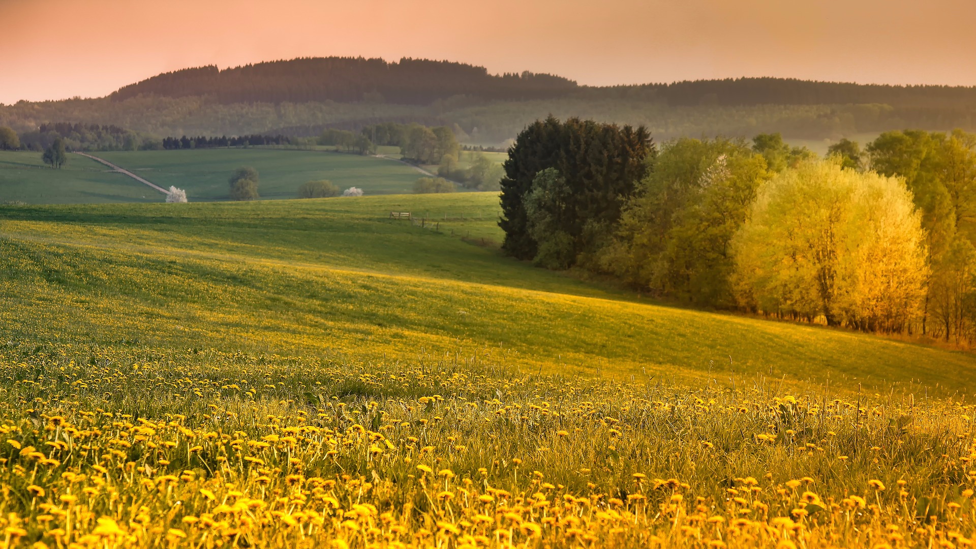 sauerland-3291339_1920.jpg