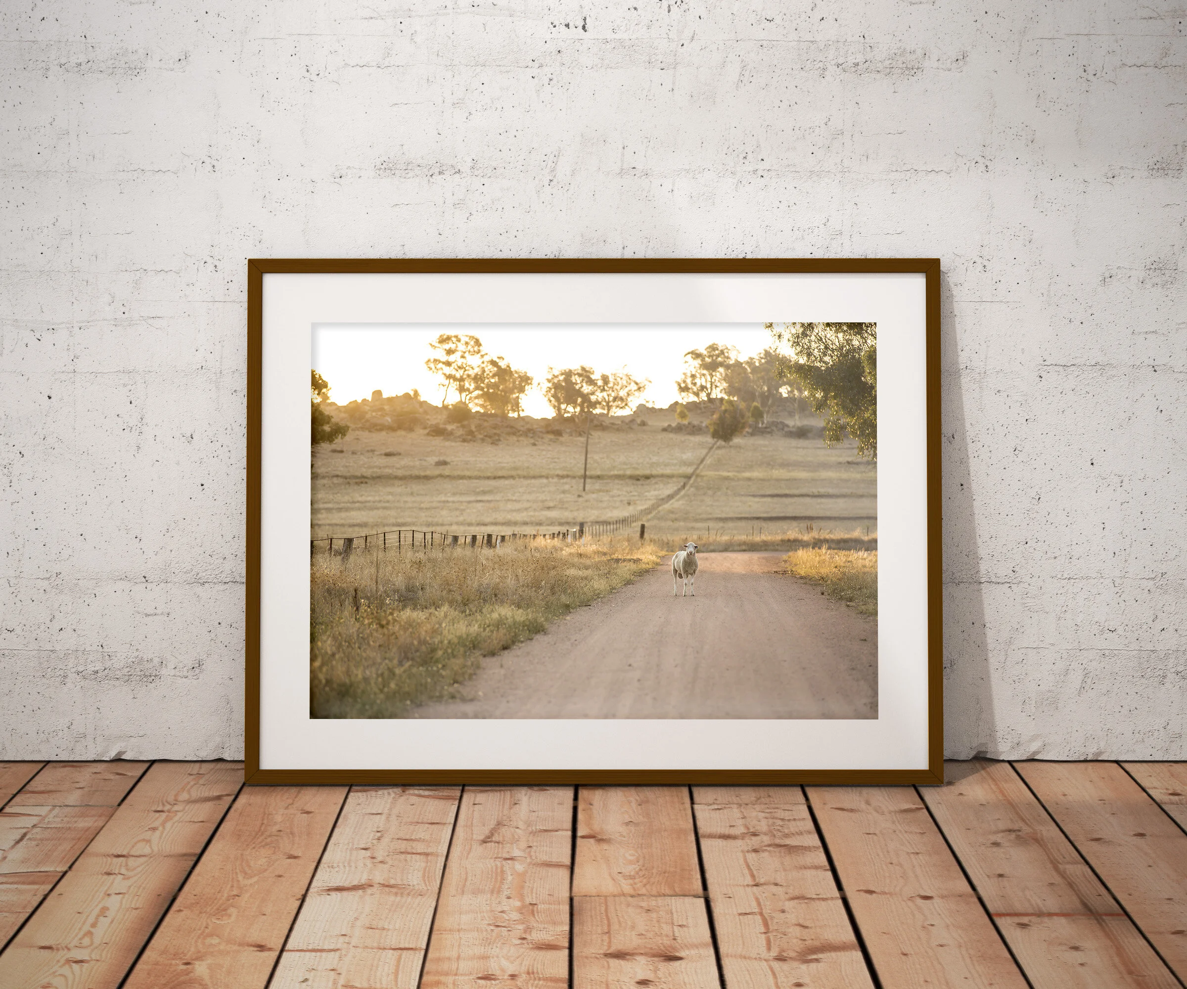 STORE — Kim Storey Photographer