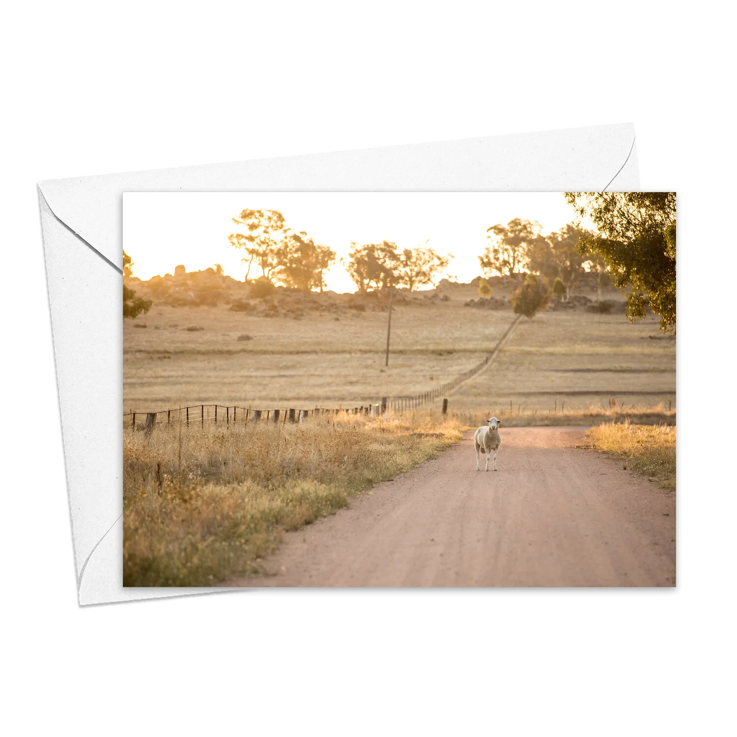 Mackey's Creek Road greeting card — Kim Storey Photographer