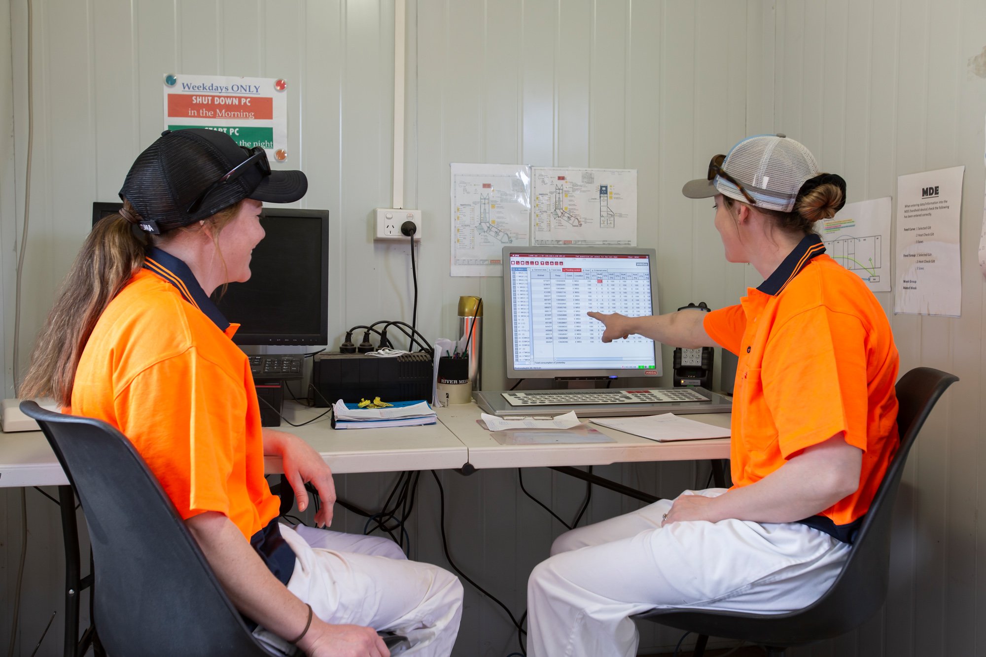 Laura Pollear and Kiera Chalker (nee Pollard) checking the electronic sow feeding system in the office. Westmill Products Young NSW.jpg