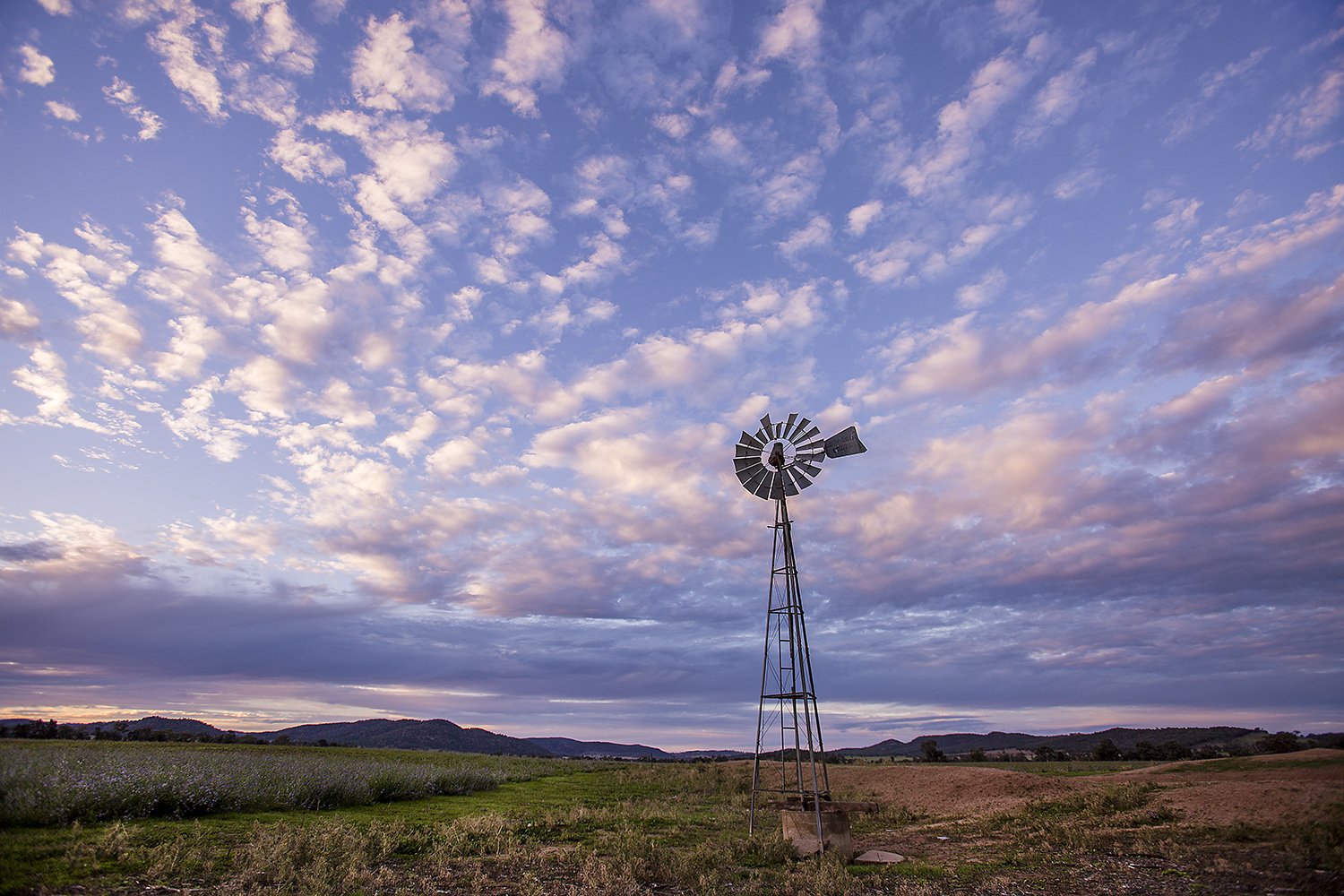 Mandagery Windmill SS.jpg