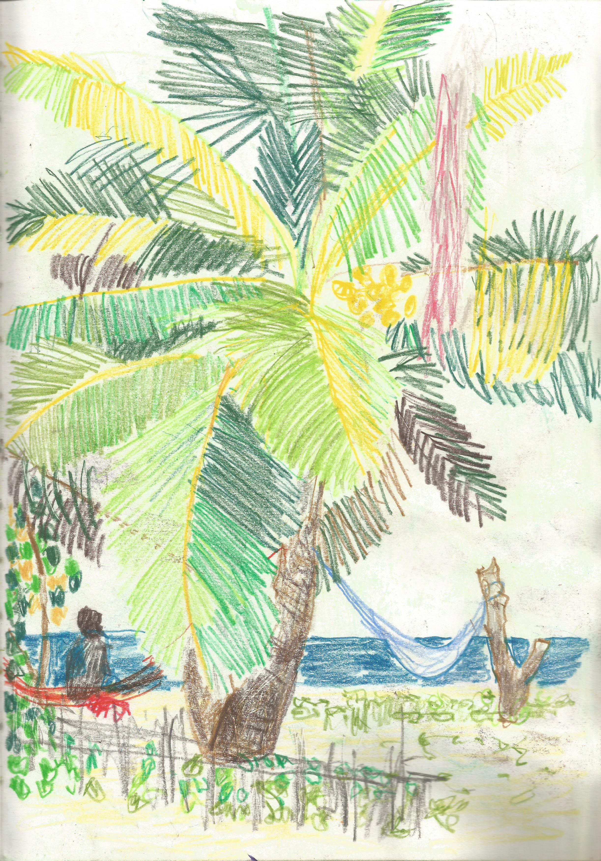 1229 Sketchbook 1.jpeg