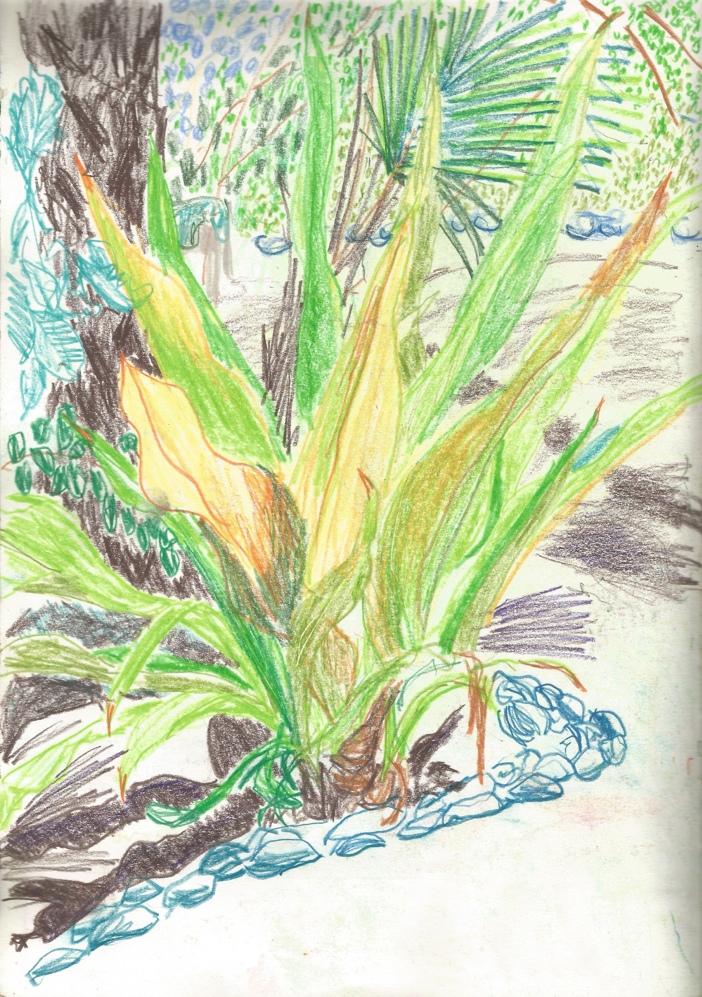 1229 Sketchbook 2.jpeg