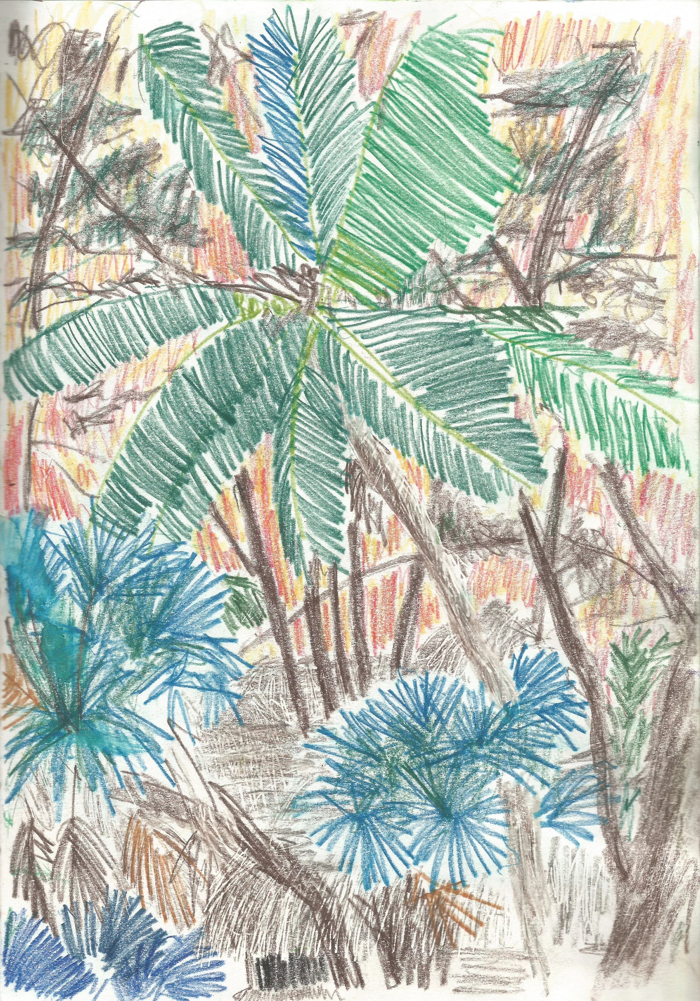 1229 Sketchbook 4.jpeg