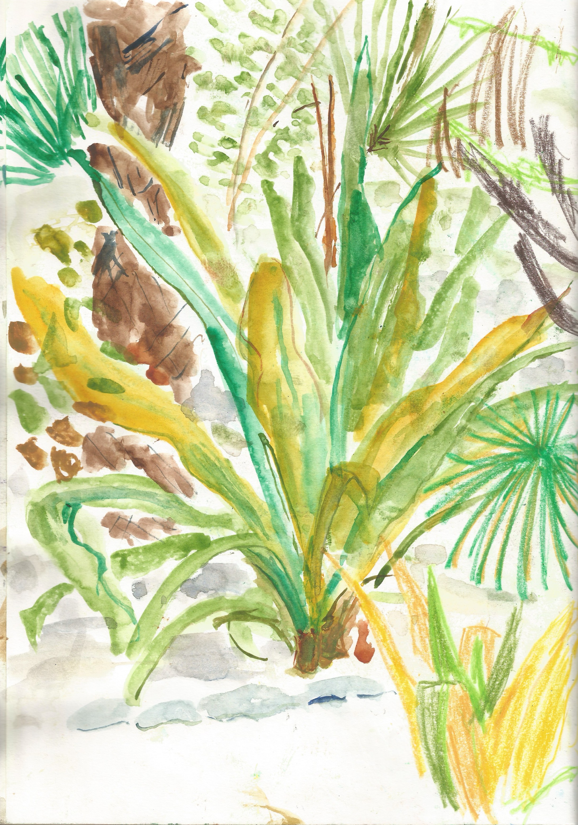1229 Sketchbook 5.jpeg
