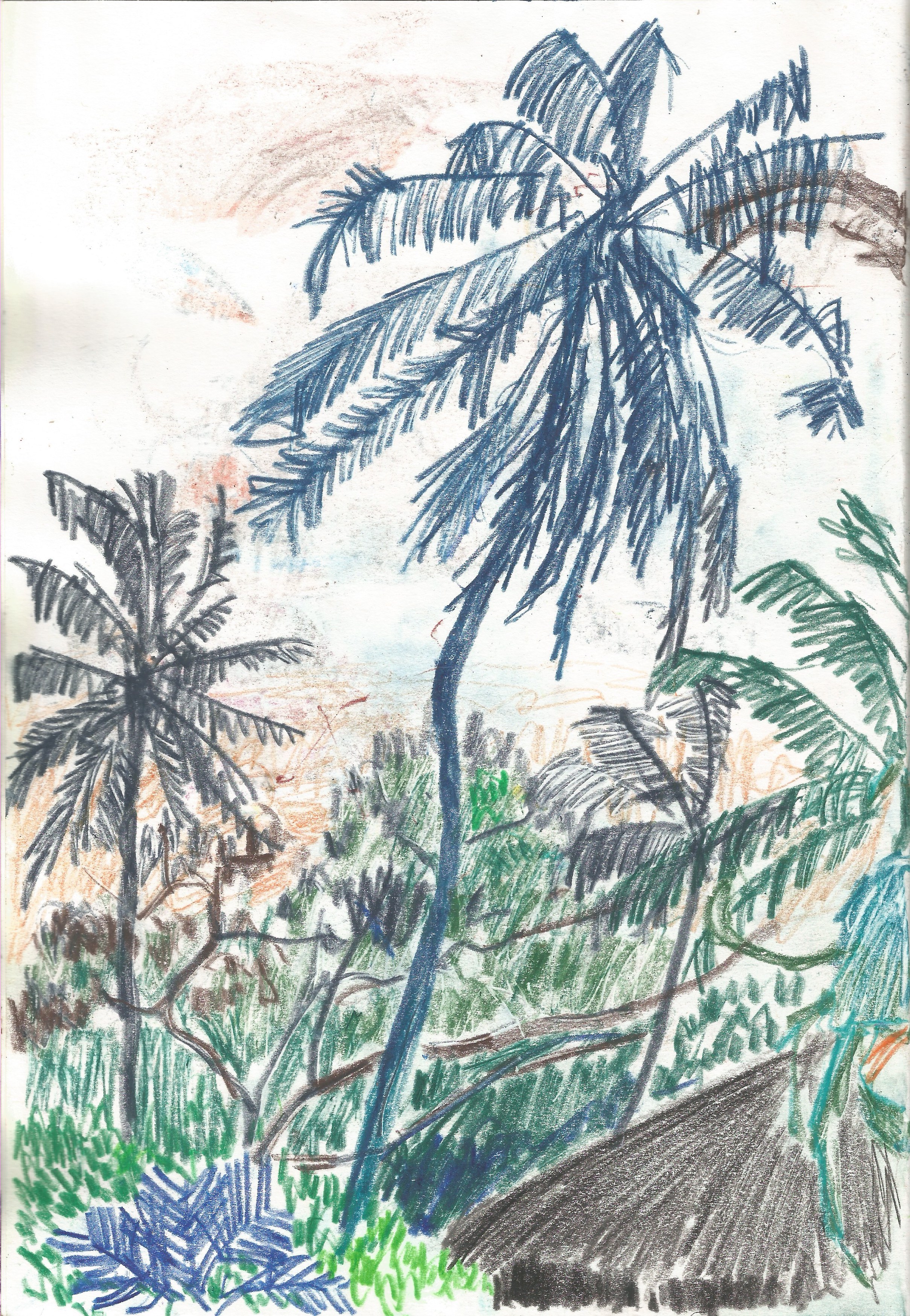 1229 Sketchbook 12.jpeg