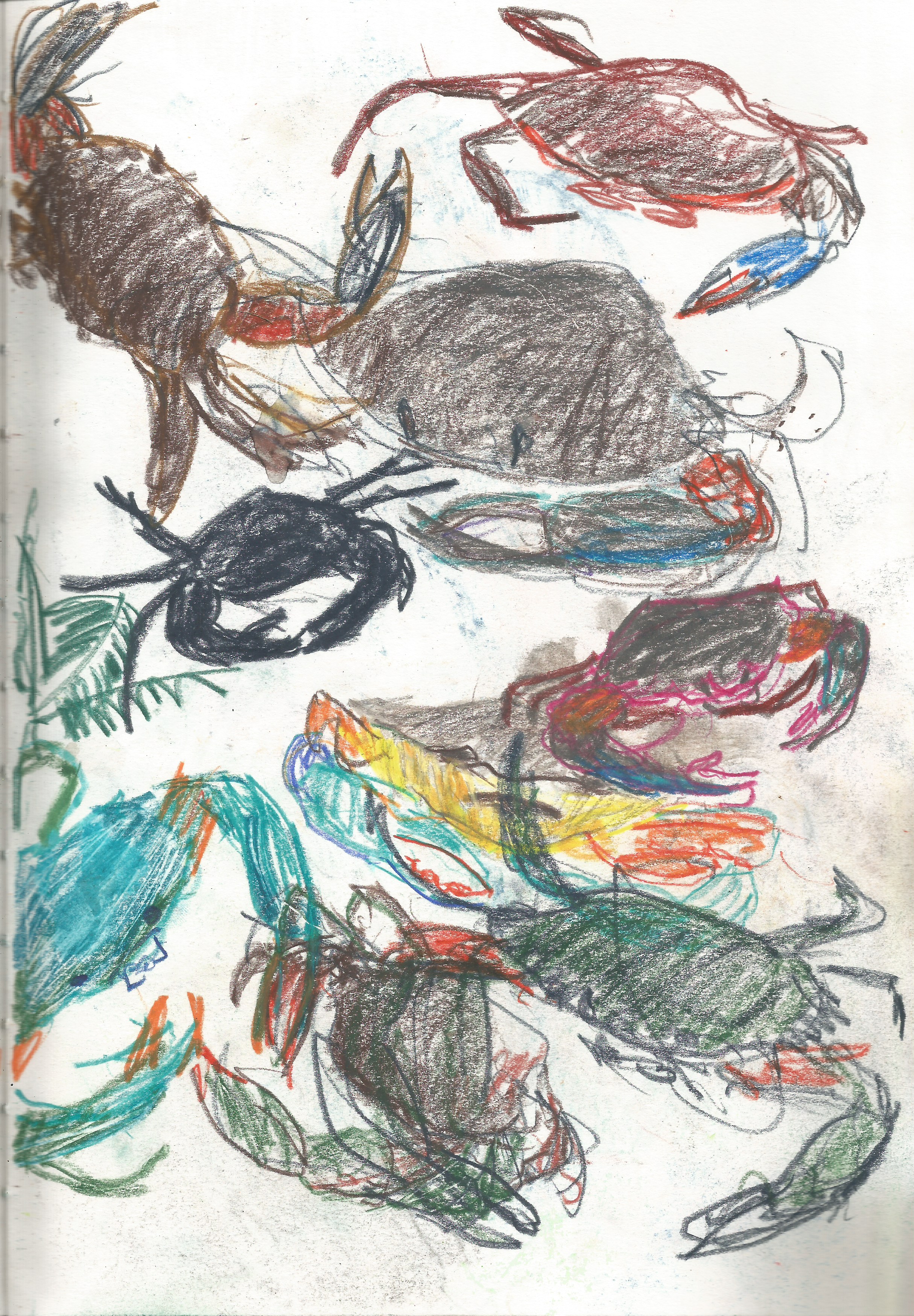 1229 Sketchbook 13.jpeg