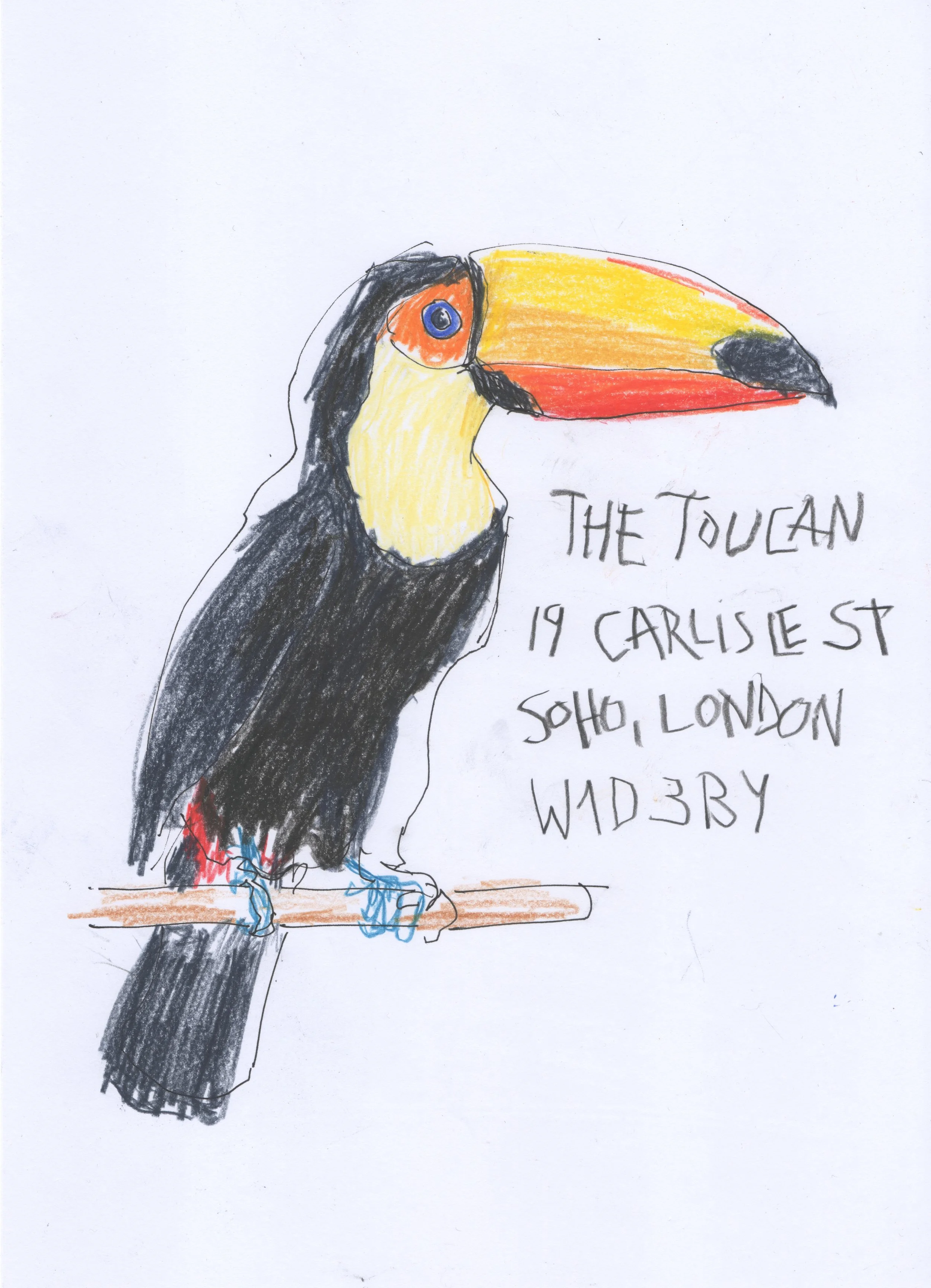 0920 Toucan 1.jpeg