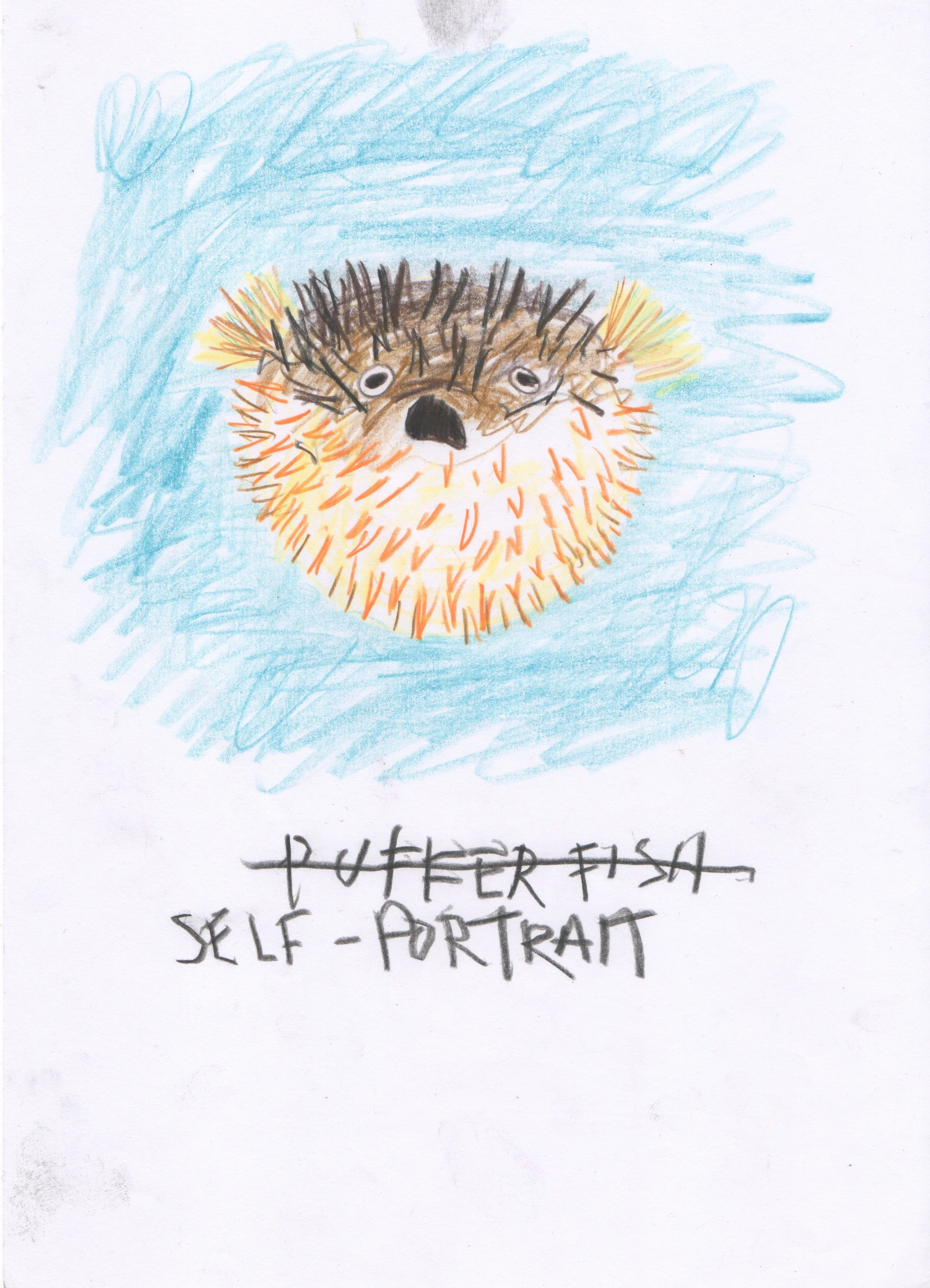 14.Puffer Fish.jpeg
