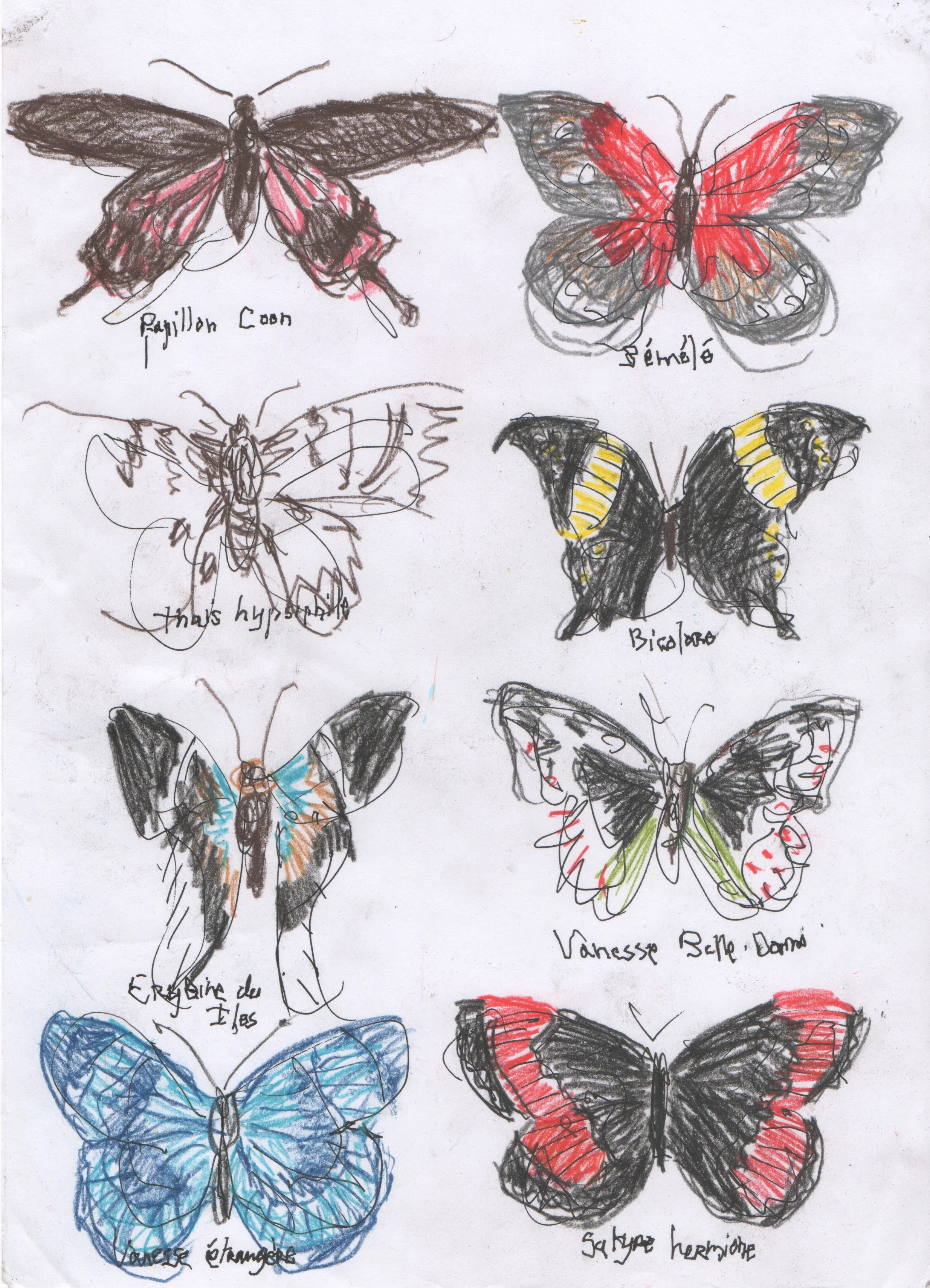 32.Histoire Naturelle.jpeg