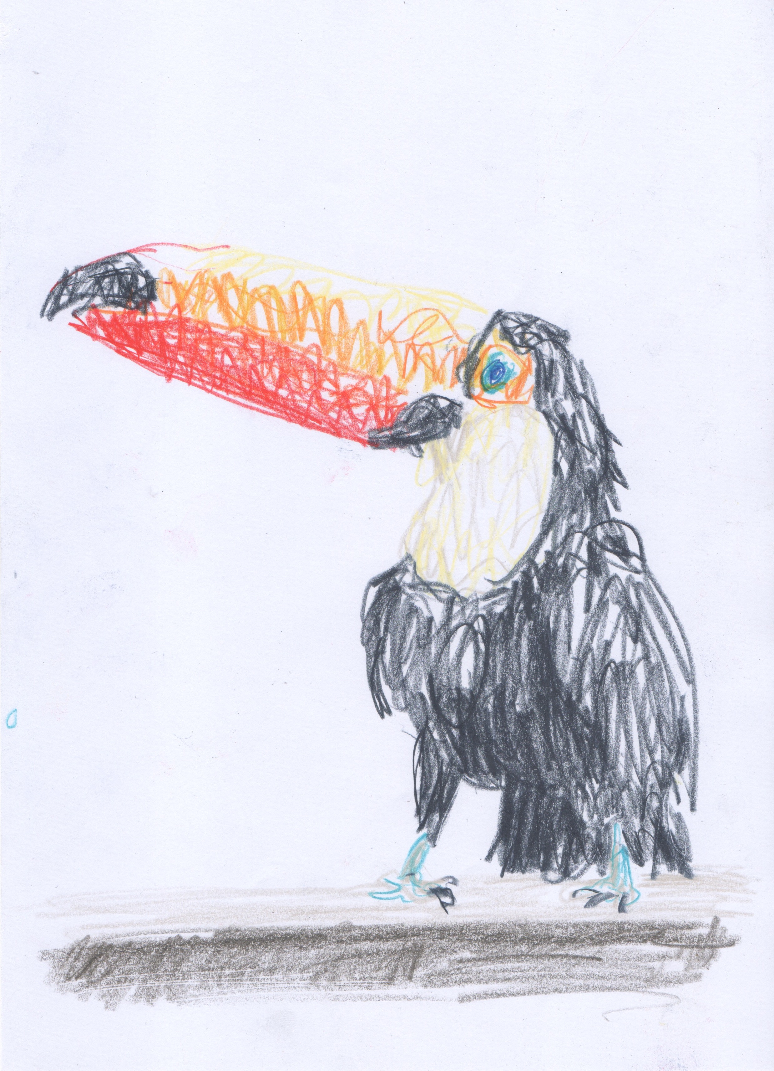 38.Toucan.jpeg