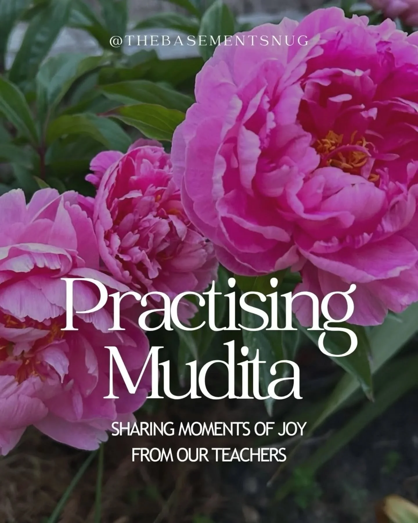 This month&rsquo;s Mudita post is made up of moments shared by our lovely teachers. 

There&rsquo;s a clear theme of nature and the outdoors running through them, which we really love - a reminder that joy doesn&rsquo;t need to be big or expensive. 
