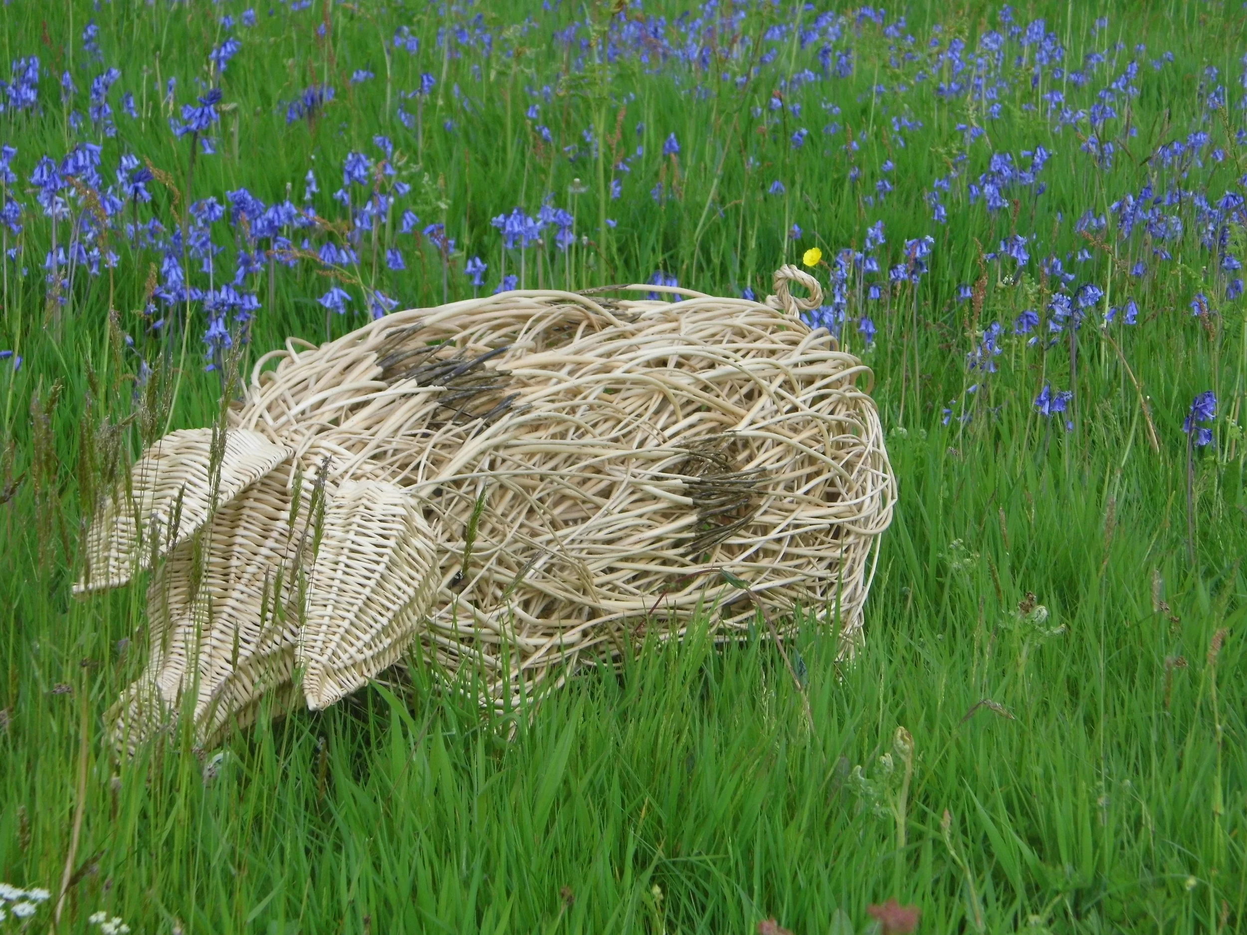 P1000700.JPG