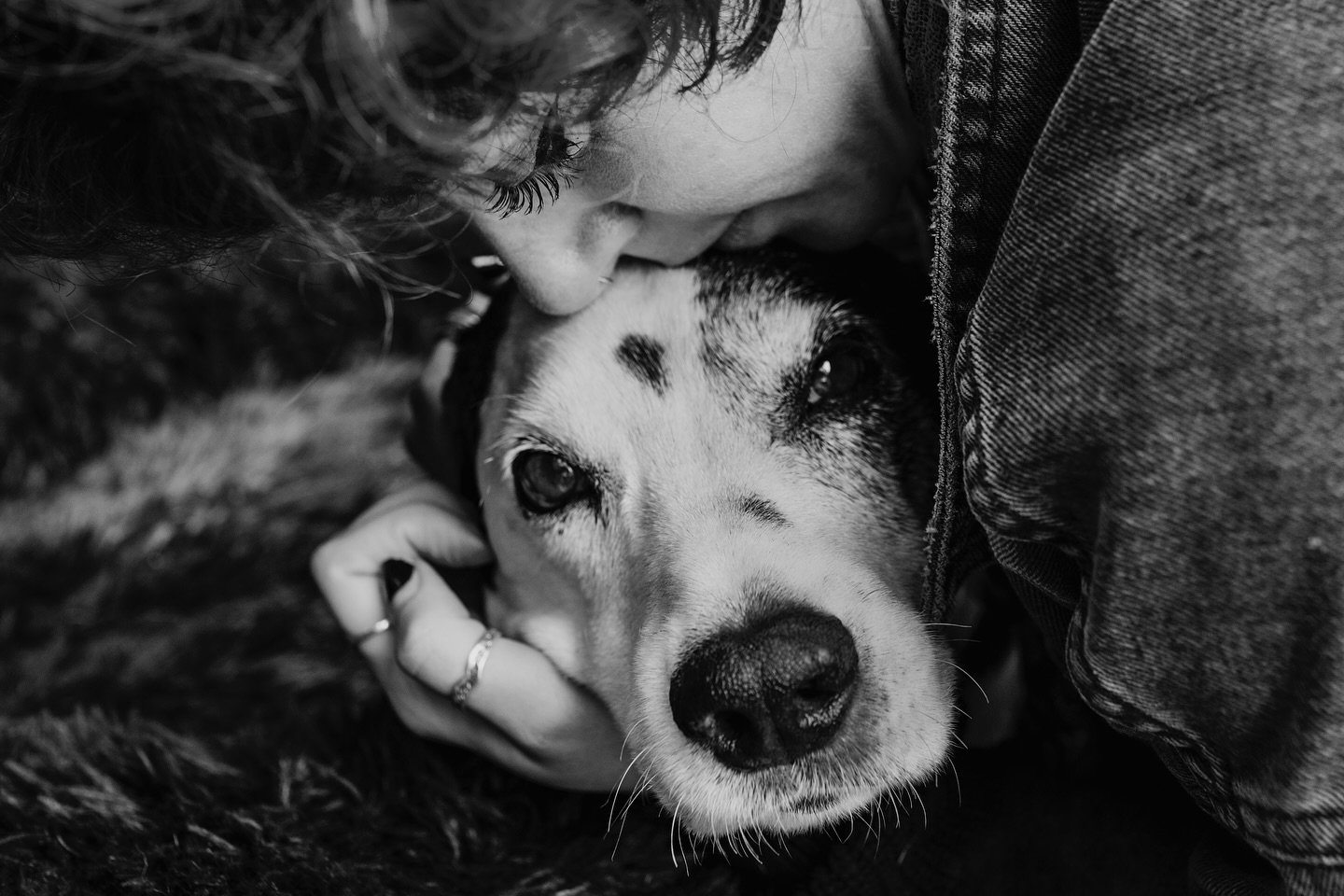 🖤🤍🖤 Skye 

The best puppy in the world
The best picnic assassin
The best &ldquo;leopard&rdquo;
The best snuggler 
The best blueberry hunter 
The best smiler 
The best toast fiend 
The best friend 

Thank you for over 14 years 🖤🤍