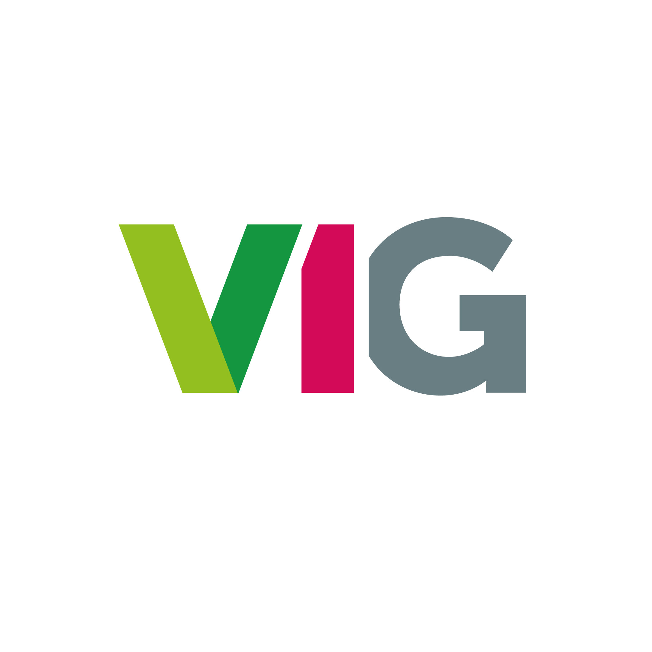 VIG_LOGO_.jpg