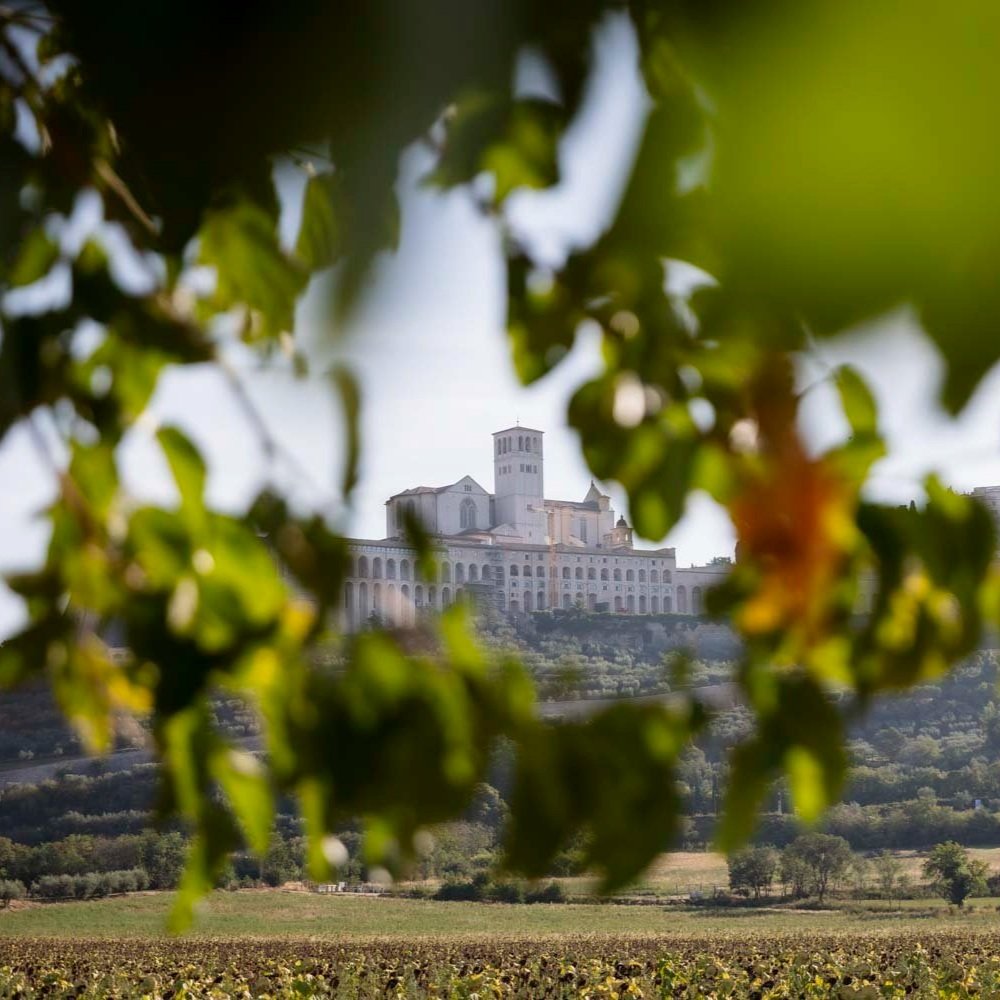 Matrimonio al Castello di Petrata Giulia Barabani wedding planner in Umbria