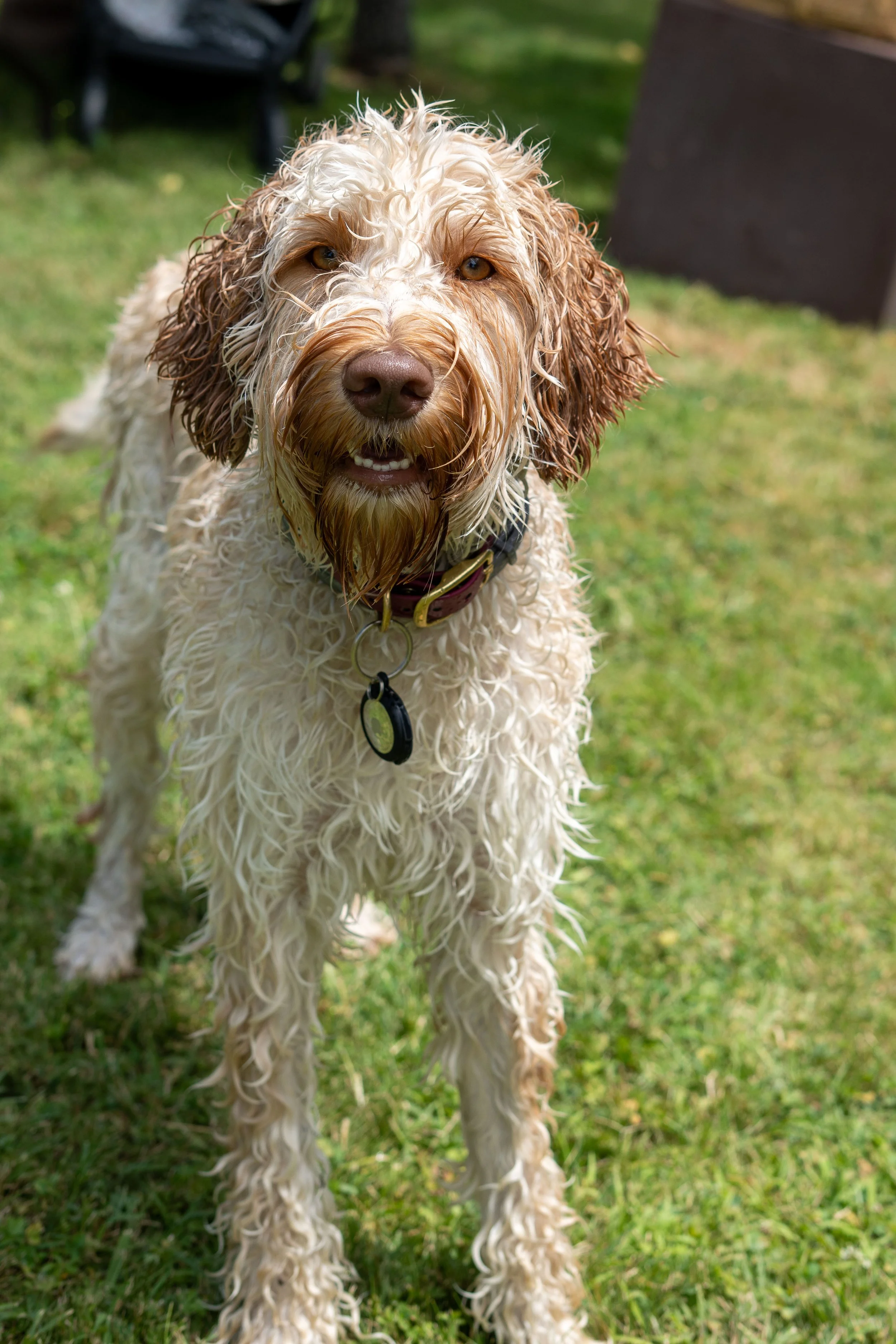 wedding content creator capturing candid moment during destination wedding in Italy - Giulia Barabani destination wedding planner in Umbria 