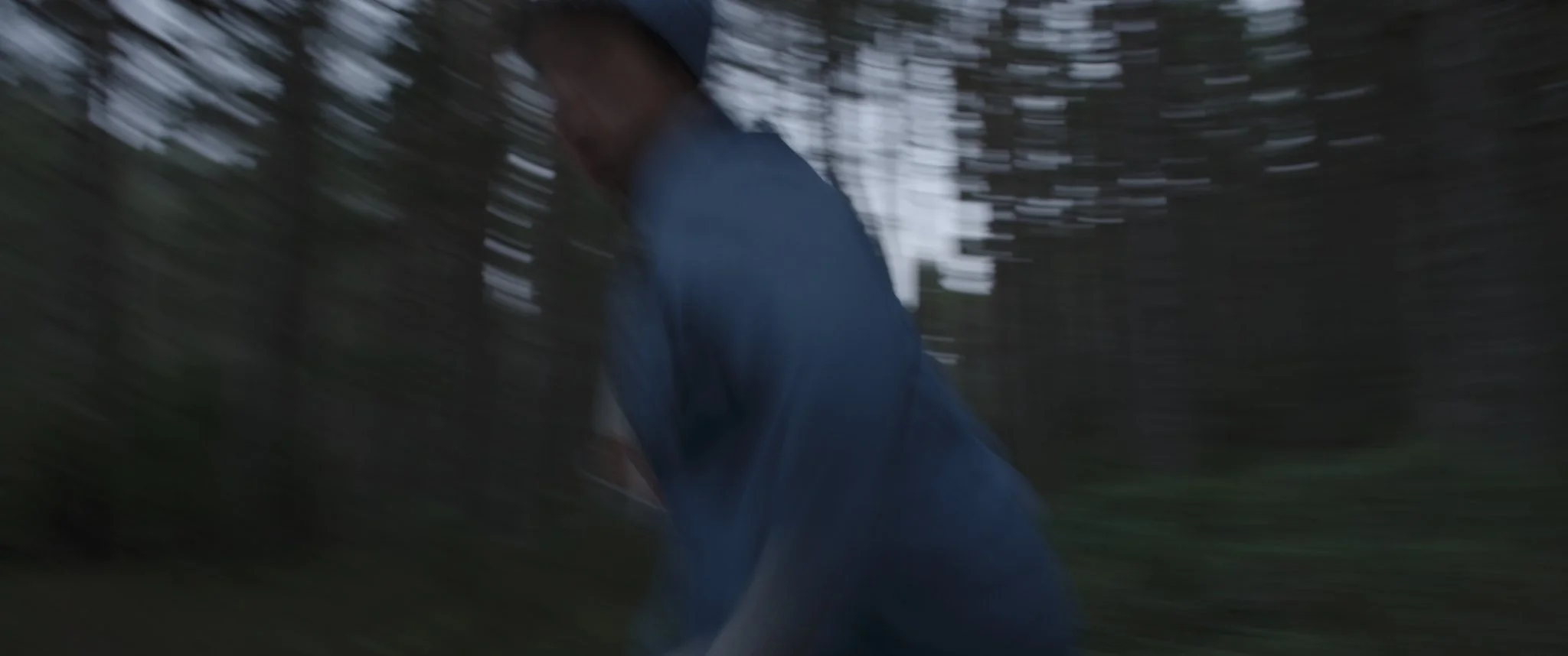 Untitled_1.91.1.jpg