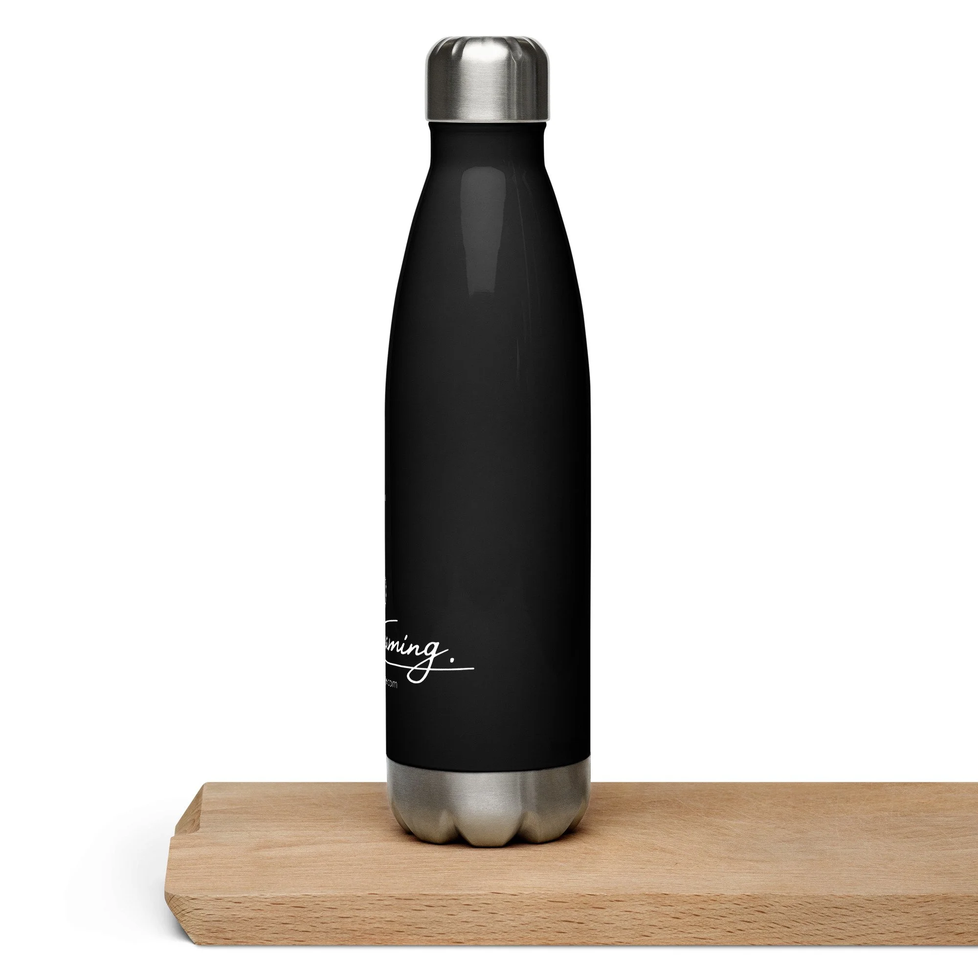 stainless-steel-water-bottle-black-17-oz-left-655de8b3e17b2.jpg