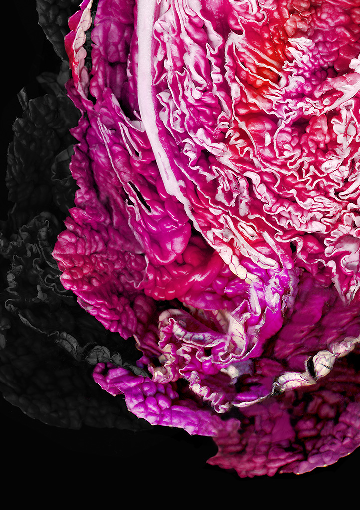 Purple cabbage2.jpg