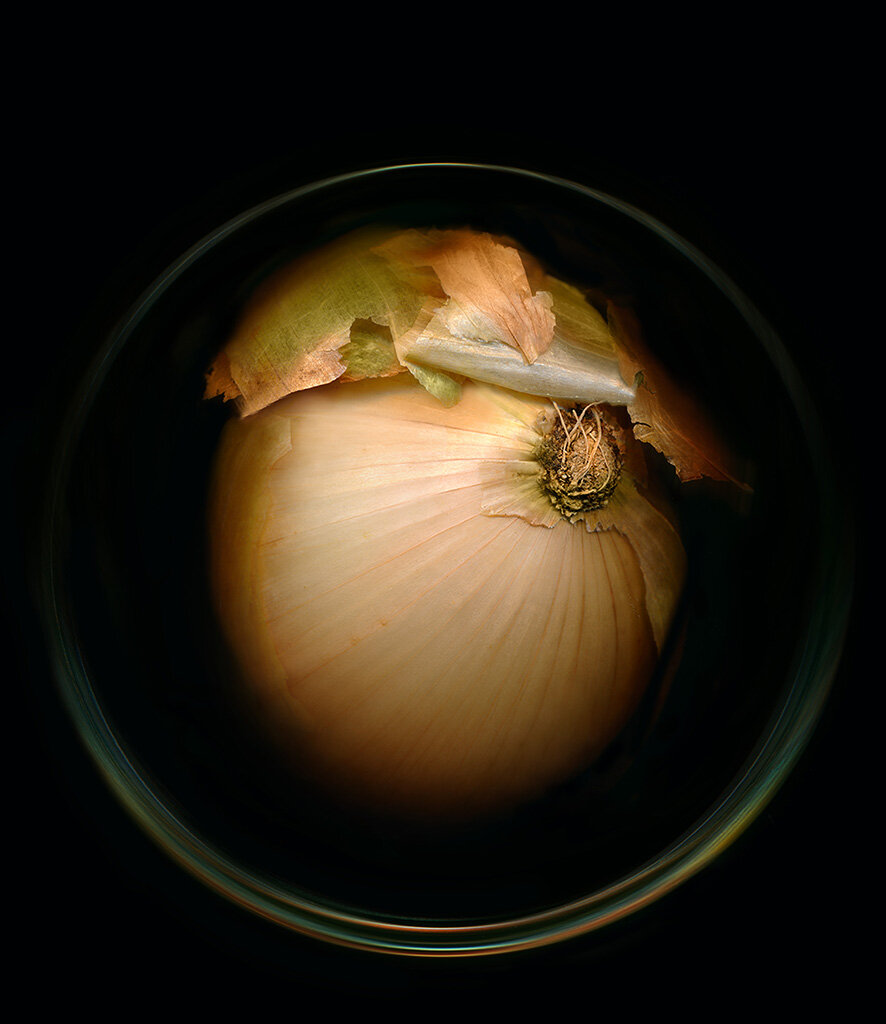Onion in Jarweb.jpg