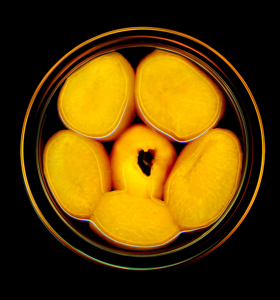 canned apricotsweb.jpg