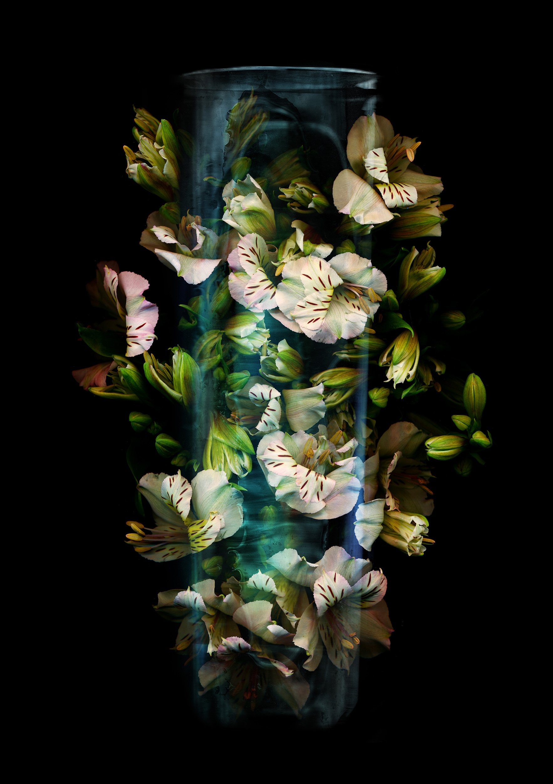 glass vase series 1 copy.jpg