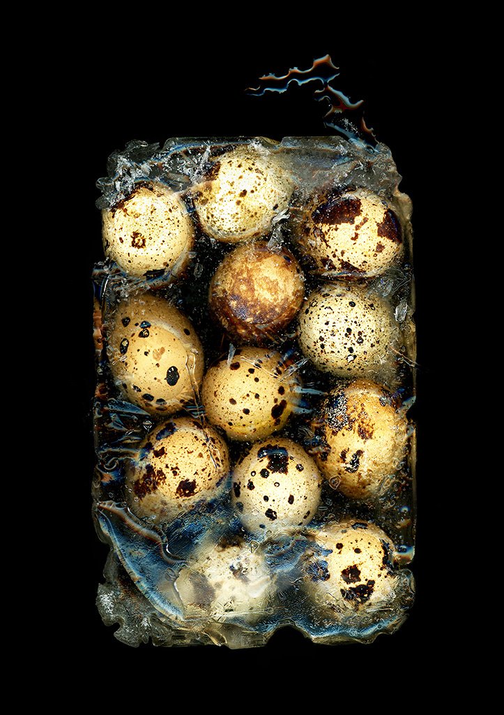 Wachtel Eggs Frozenweb.jpg