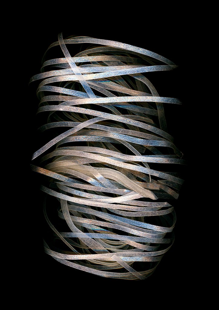 rice noodle web.jpg