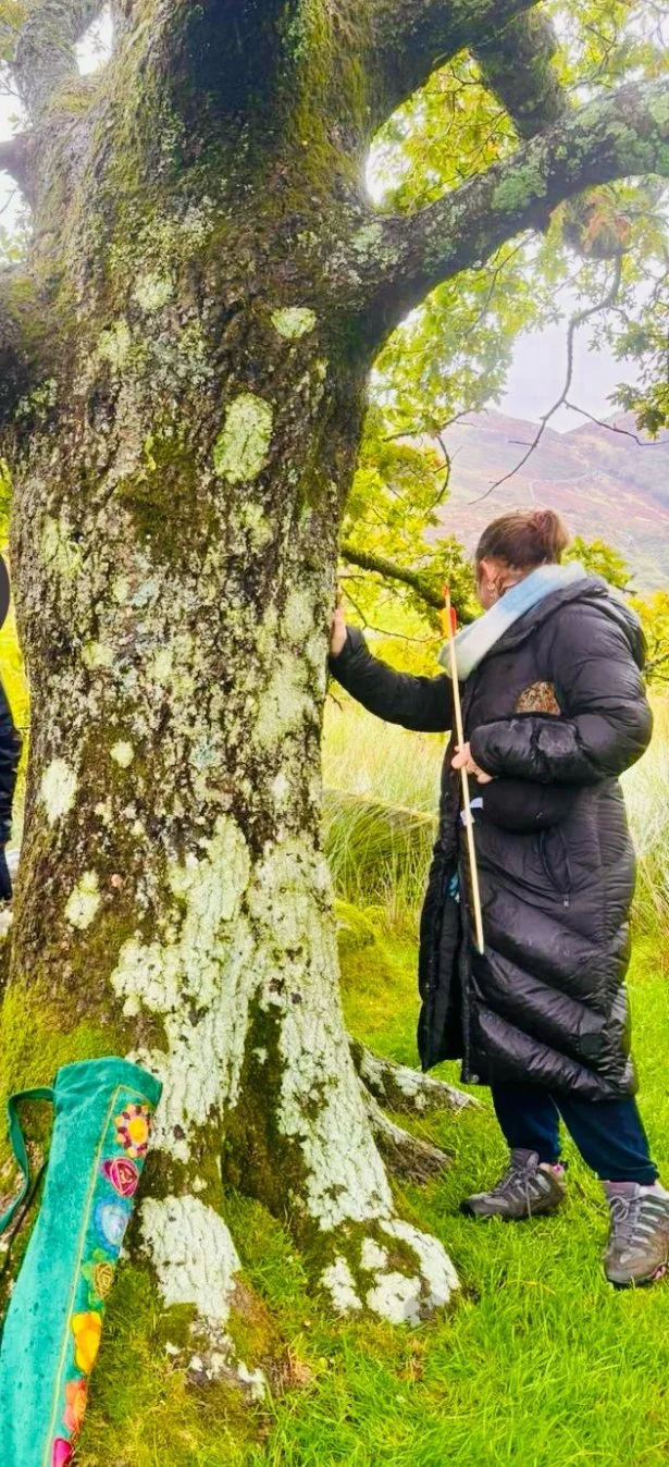 Connecting with the trees