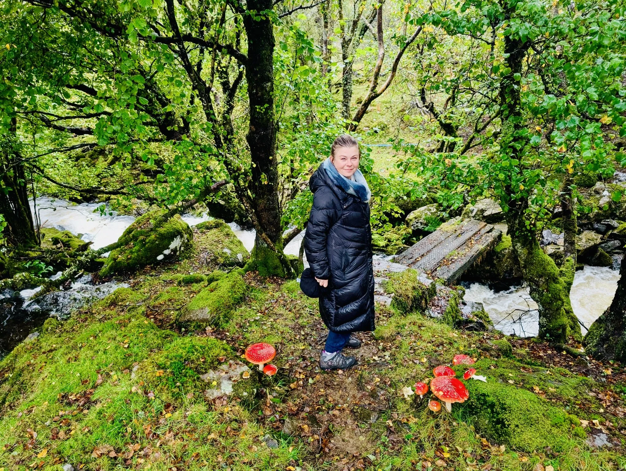 Mushrooms and the fairy places