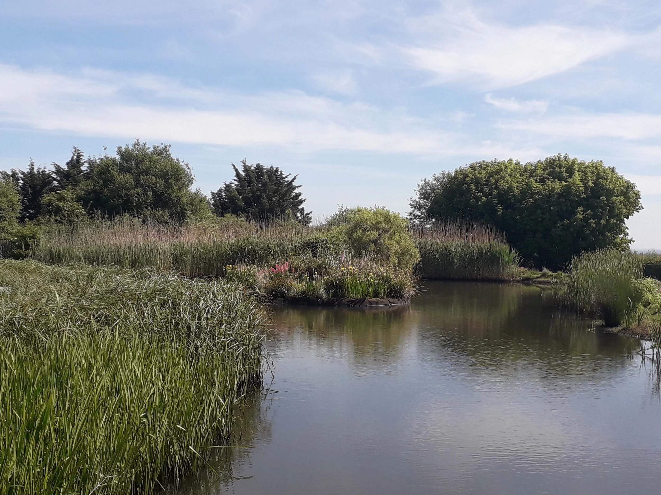 May Bank Holiday Blog