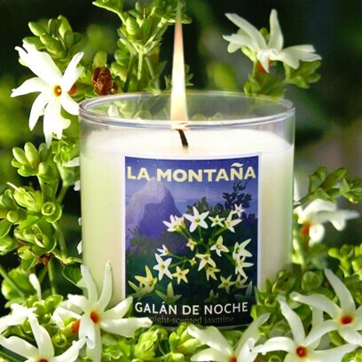 Our Lips Are Sealed Bouquet plus Galan de Noche Scented Candle