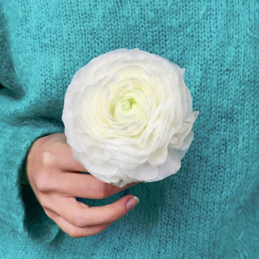 White ranunculus representing purity and sustainability Rebel values at Rebel Rebel Flowers