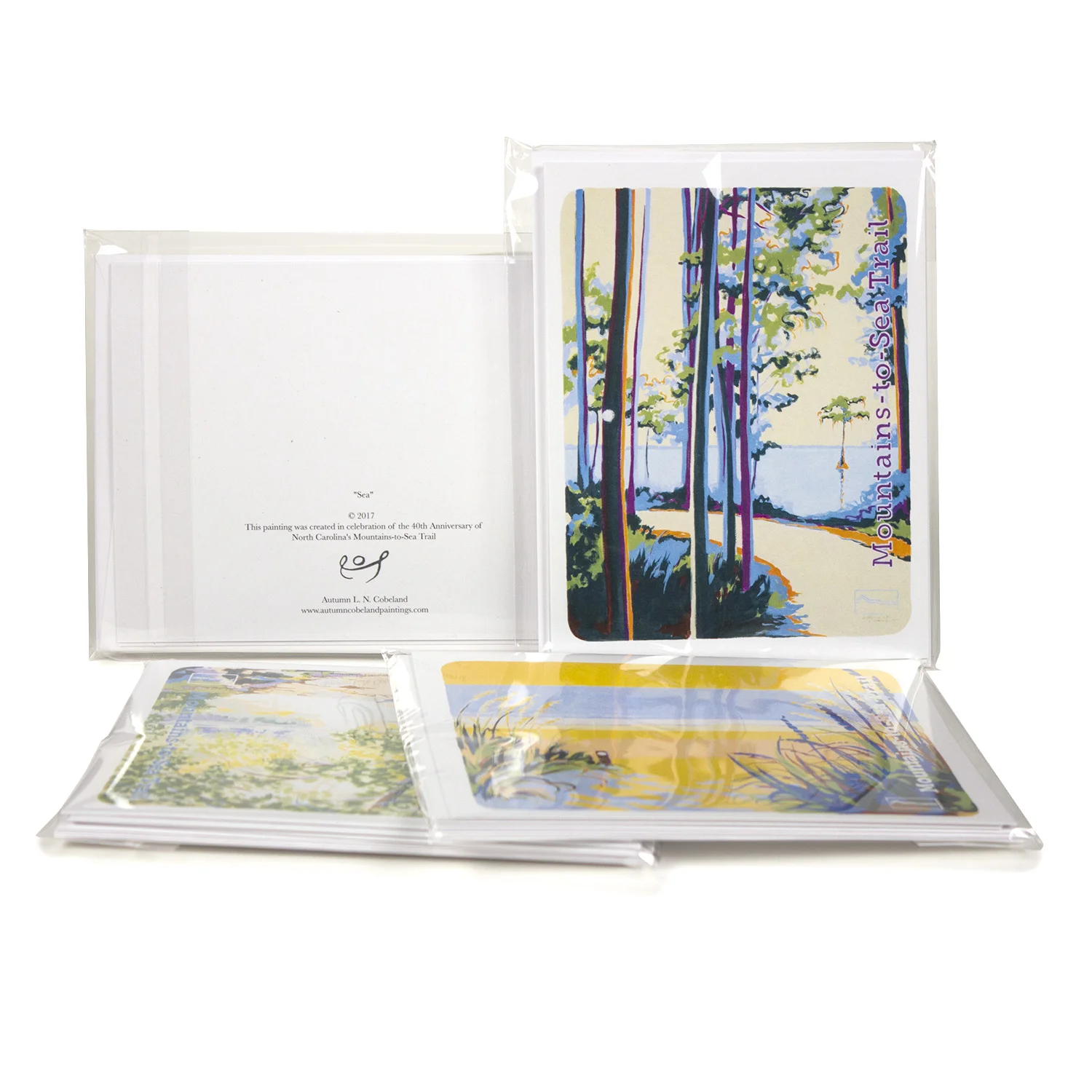 MST-notecards-packaged.jpg