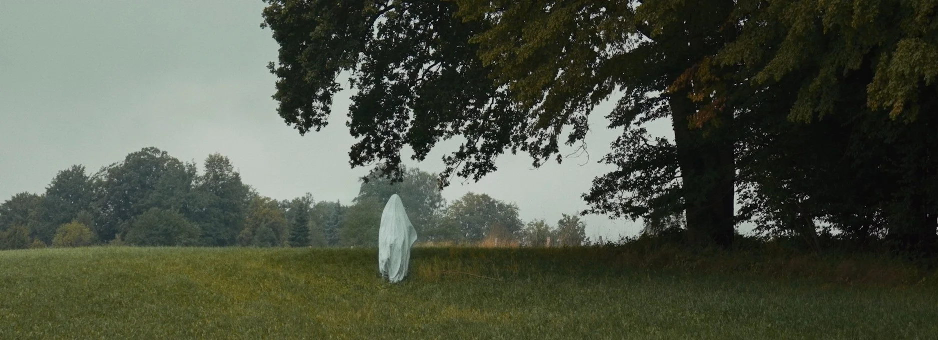 Gespenster_Cropped-12.jpg
