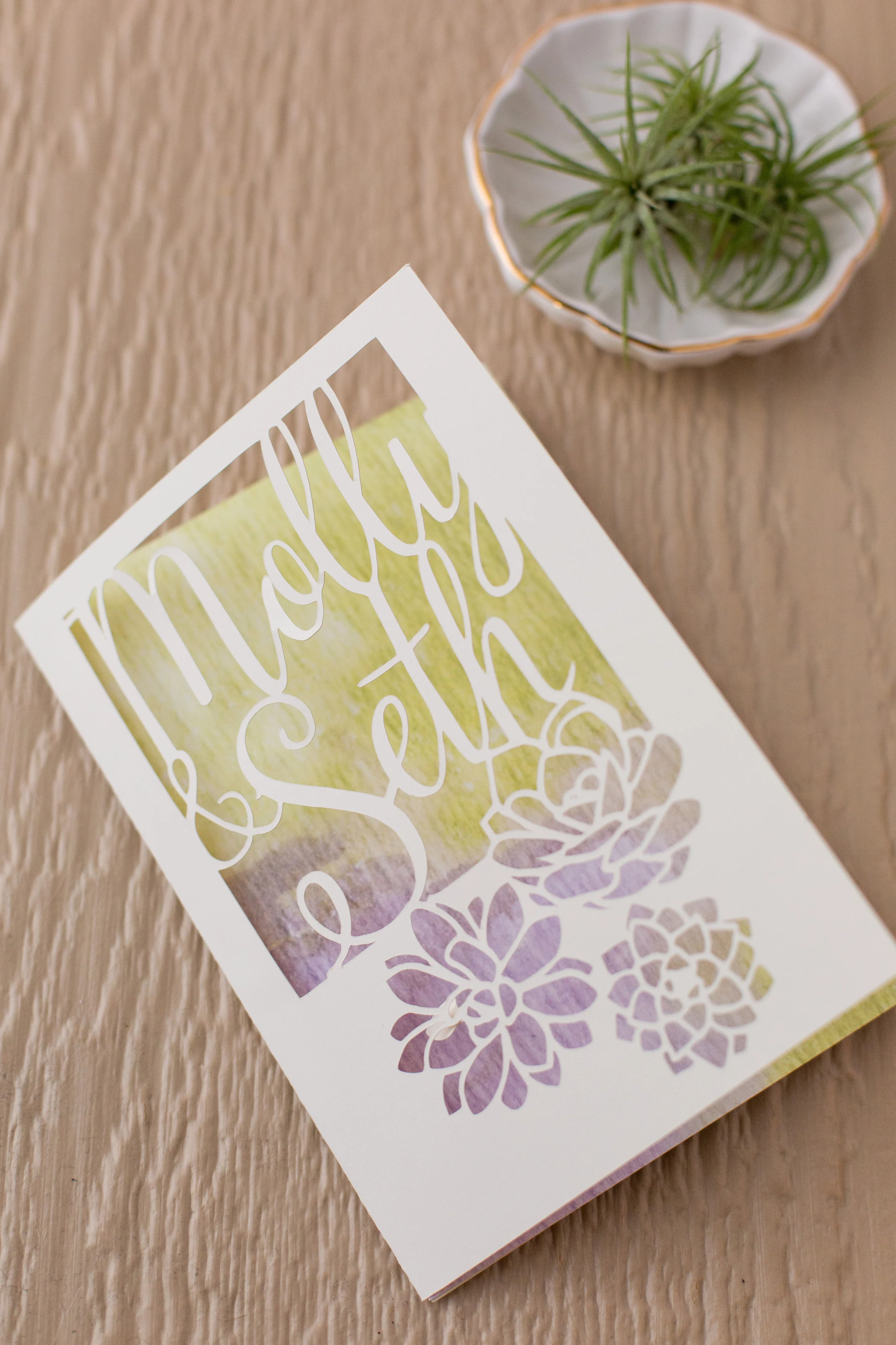 succulent invitation c.jpg