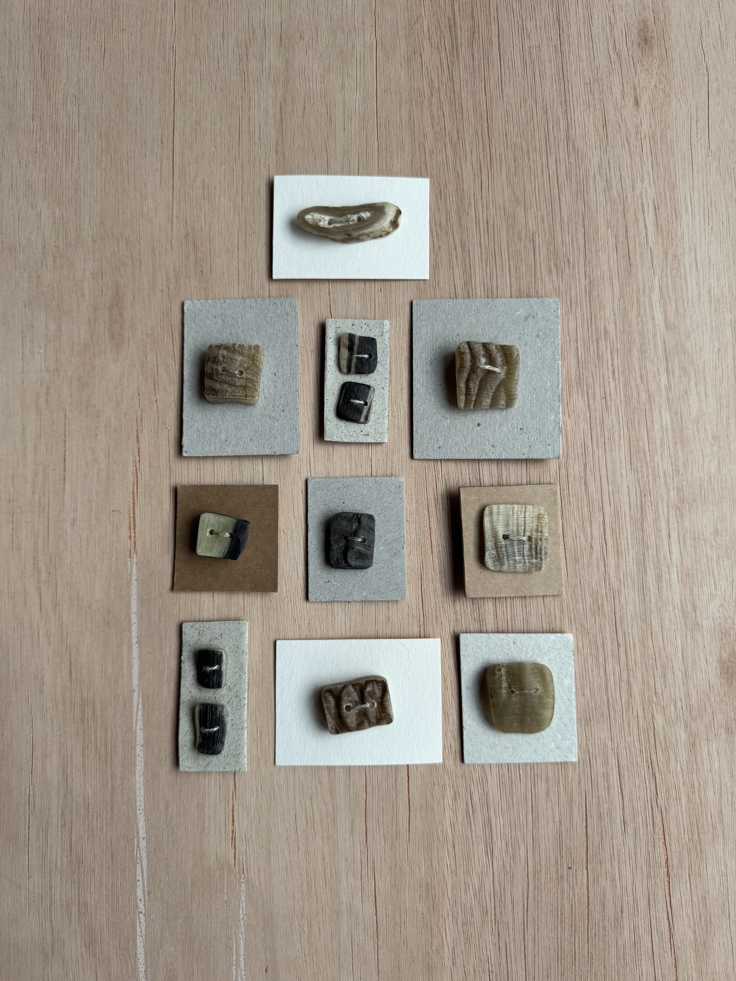 Knapper av villsauhorn