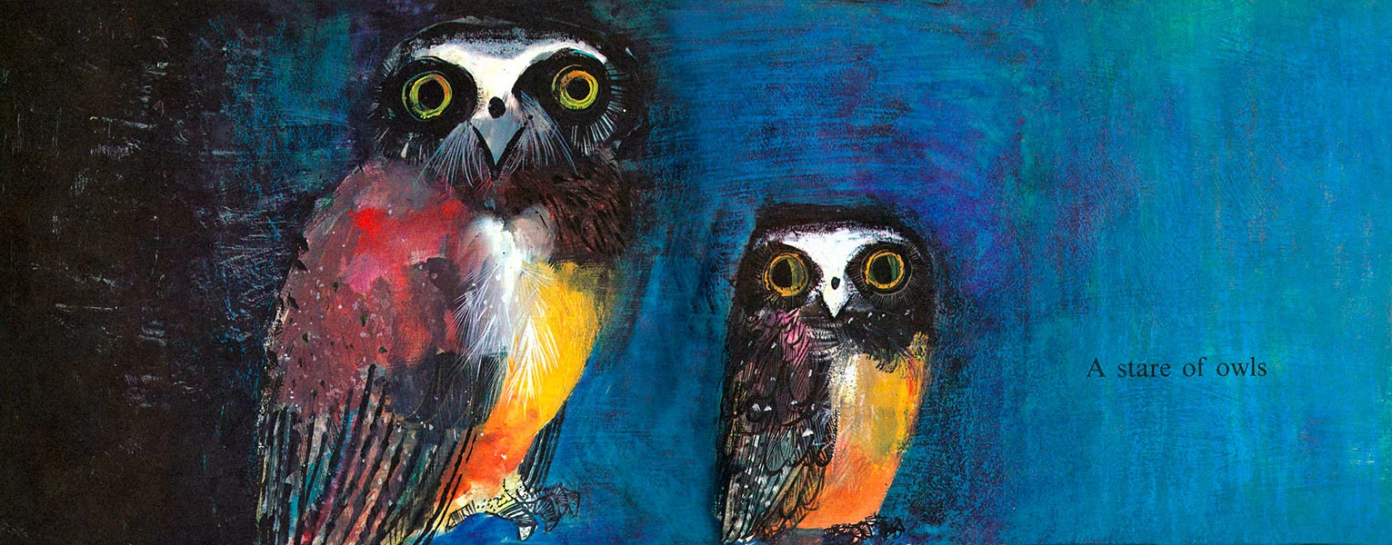 …Most memorable of all are the owls whose hypnotic stare fixes you and defies you to turn the page’. Joanna Carey.