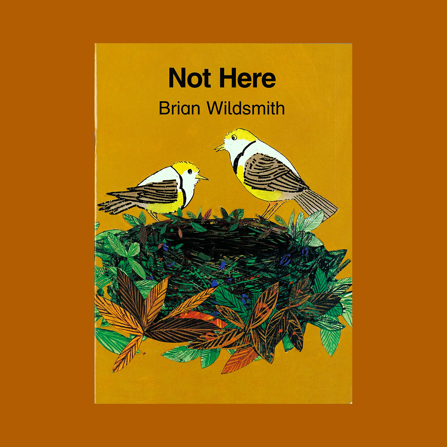 Not-Here-book-Brian-Wildsmith.jpg