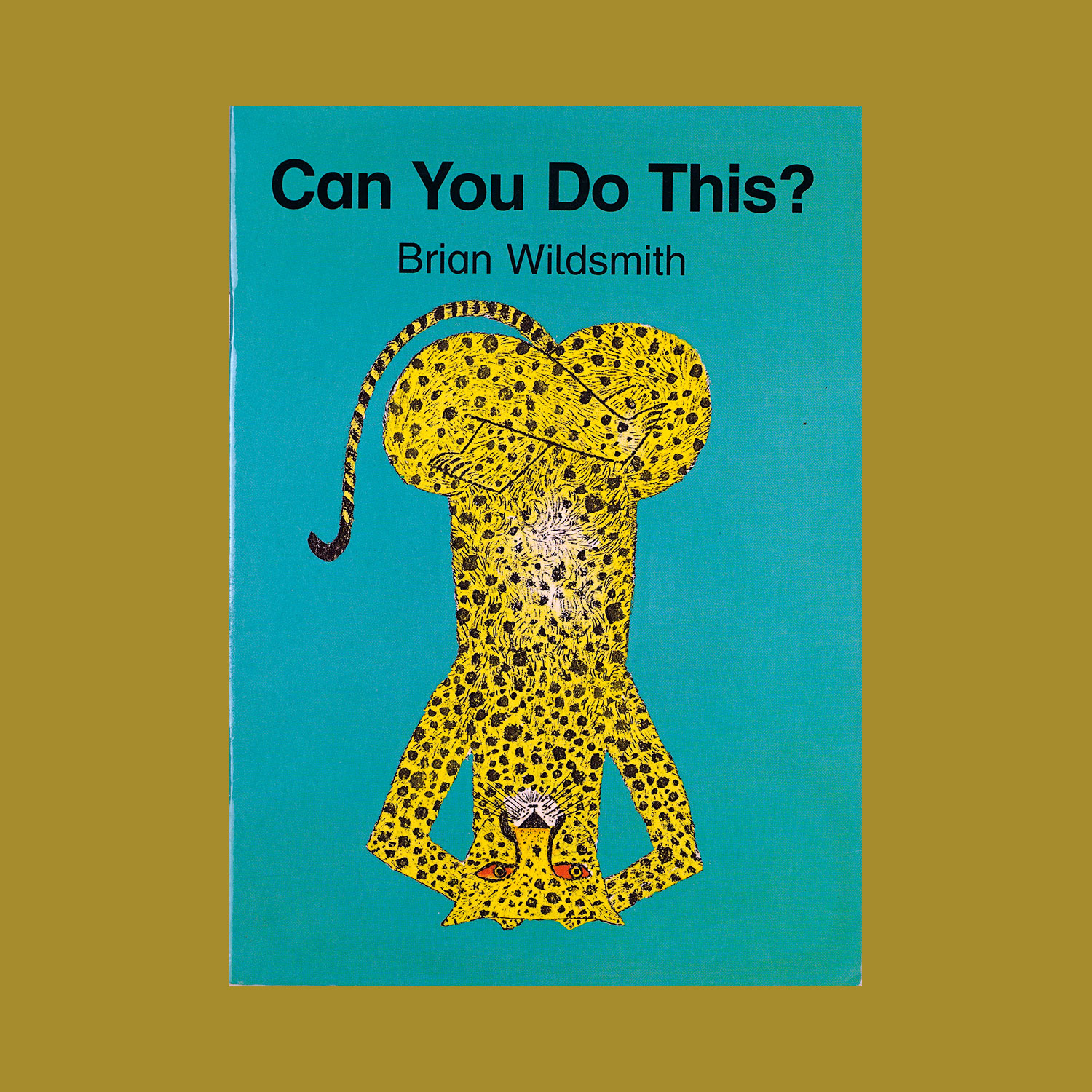 can-you-do-this-book-brian-wildsmith.jpg