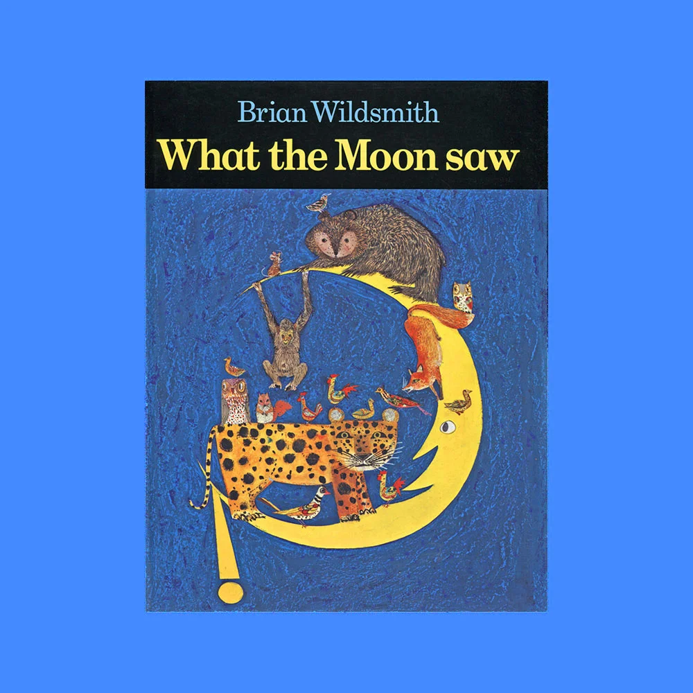what-the-moon-saw-childrens-book-by-brian-wildsmith.jpg
