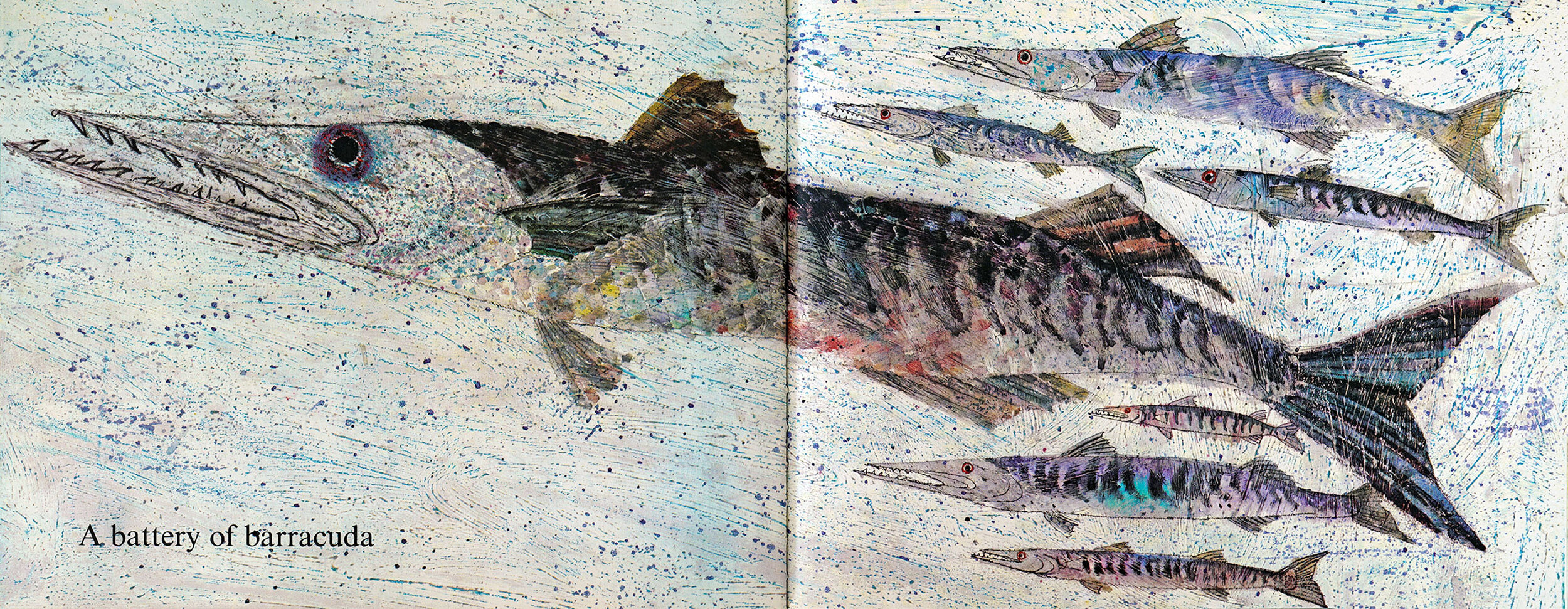 FISHES - 1968. Republished in ANIMAL GALLERY  - 2008