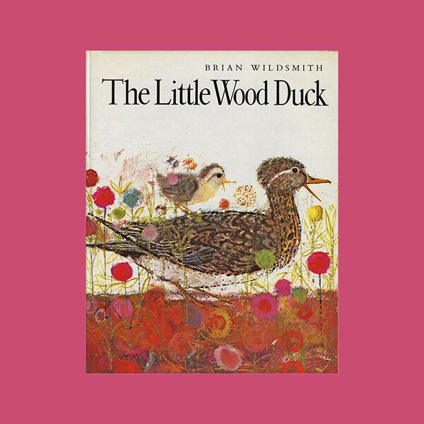 THE LITTLE WOOD DUCK