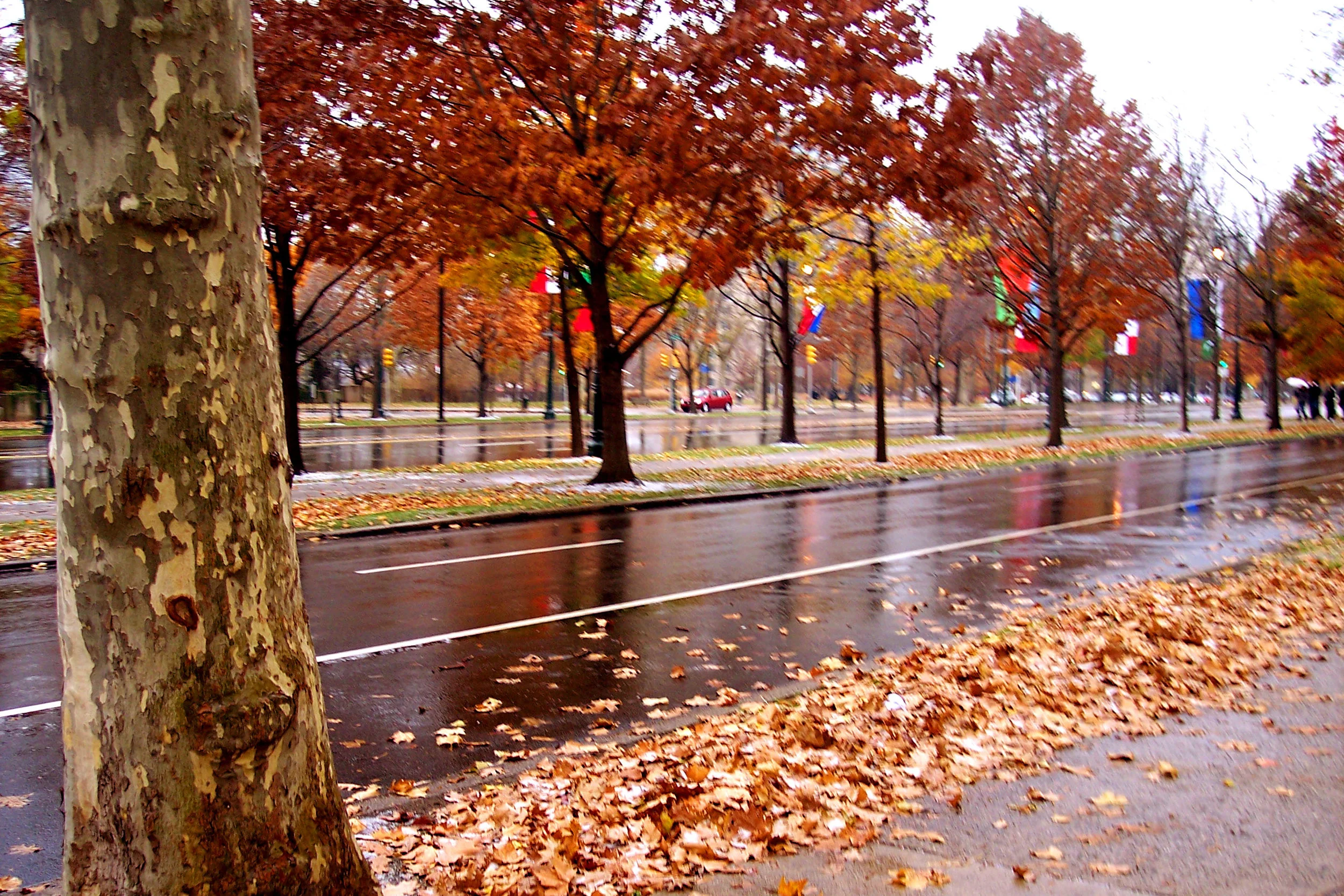 P_002_Fall Rain.jpg