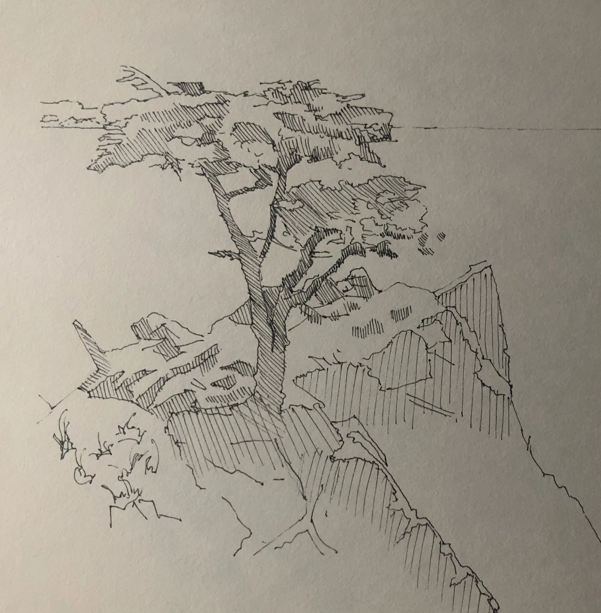 Study, 8x10 inches, Pen