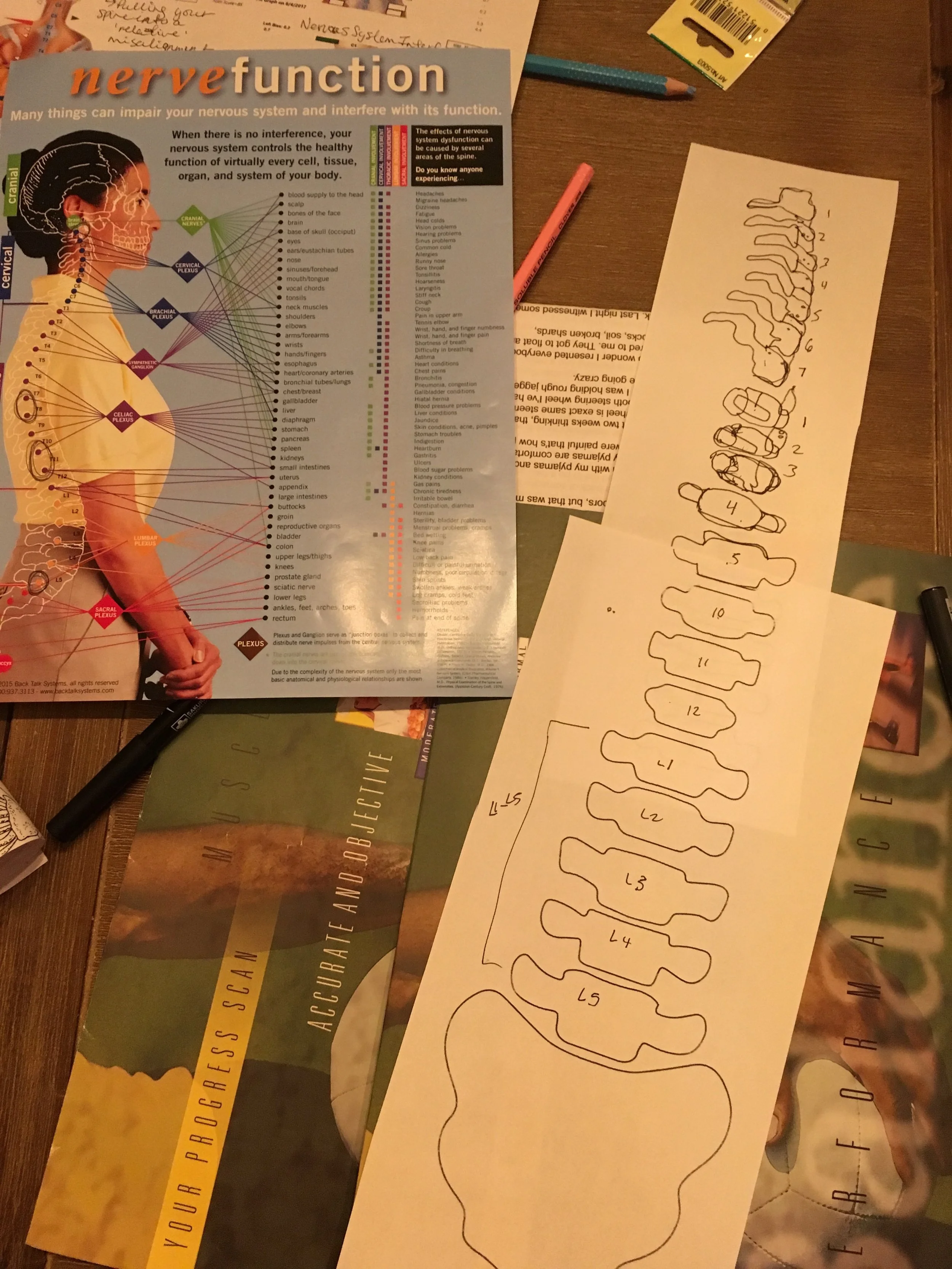 Nervous System Prep. November, 2017